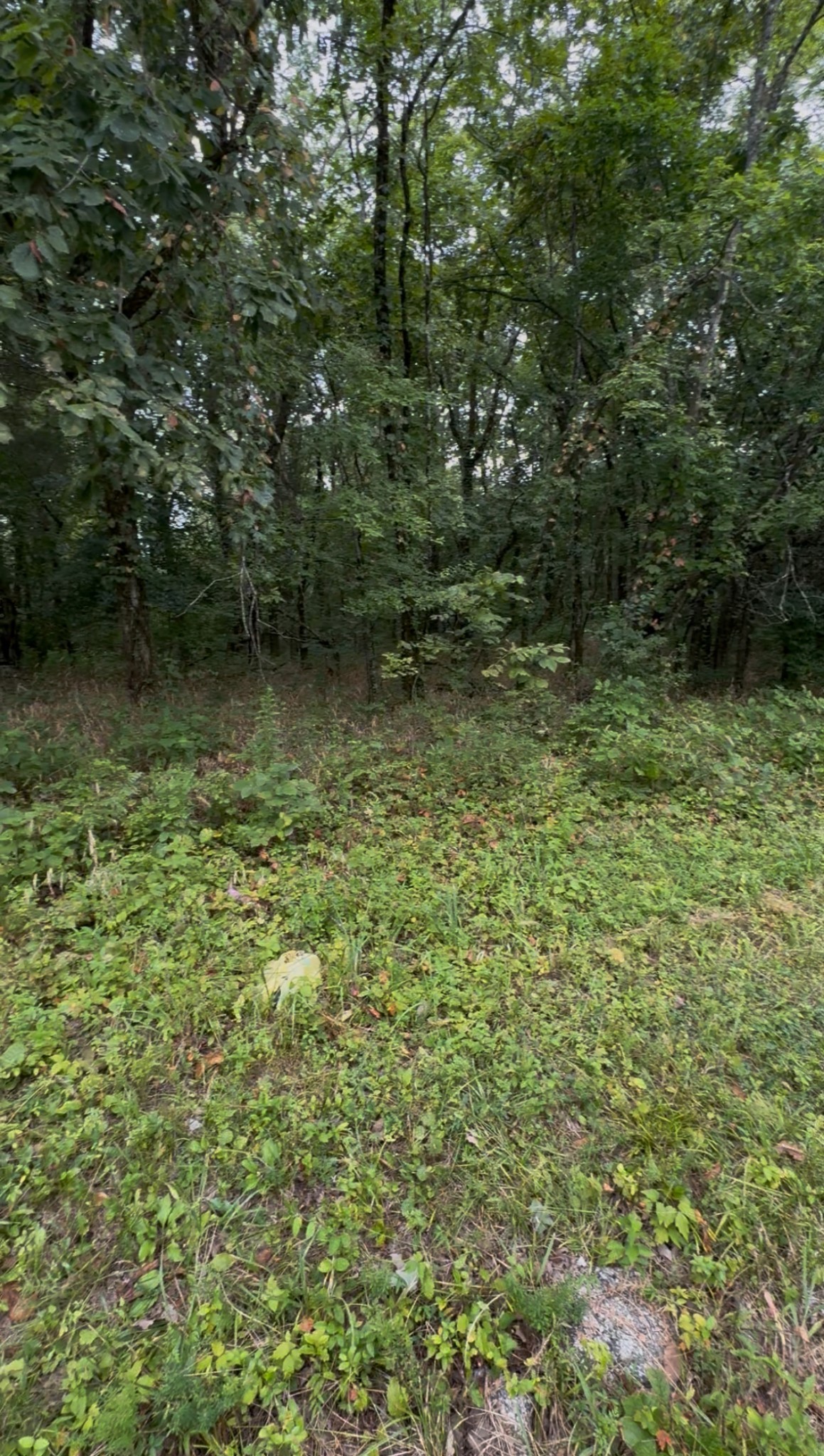6472 Arno-College Grove Road College Grove, TN 37046 - Photo 8 of 9