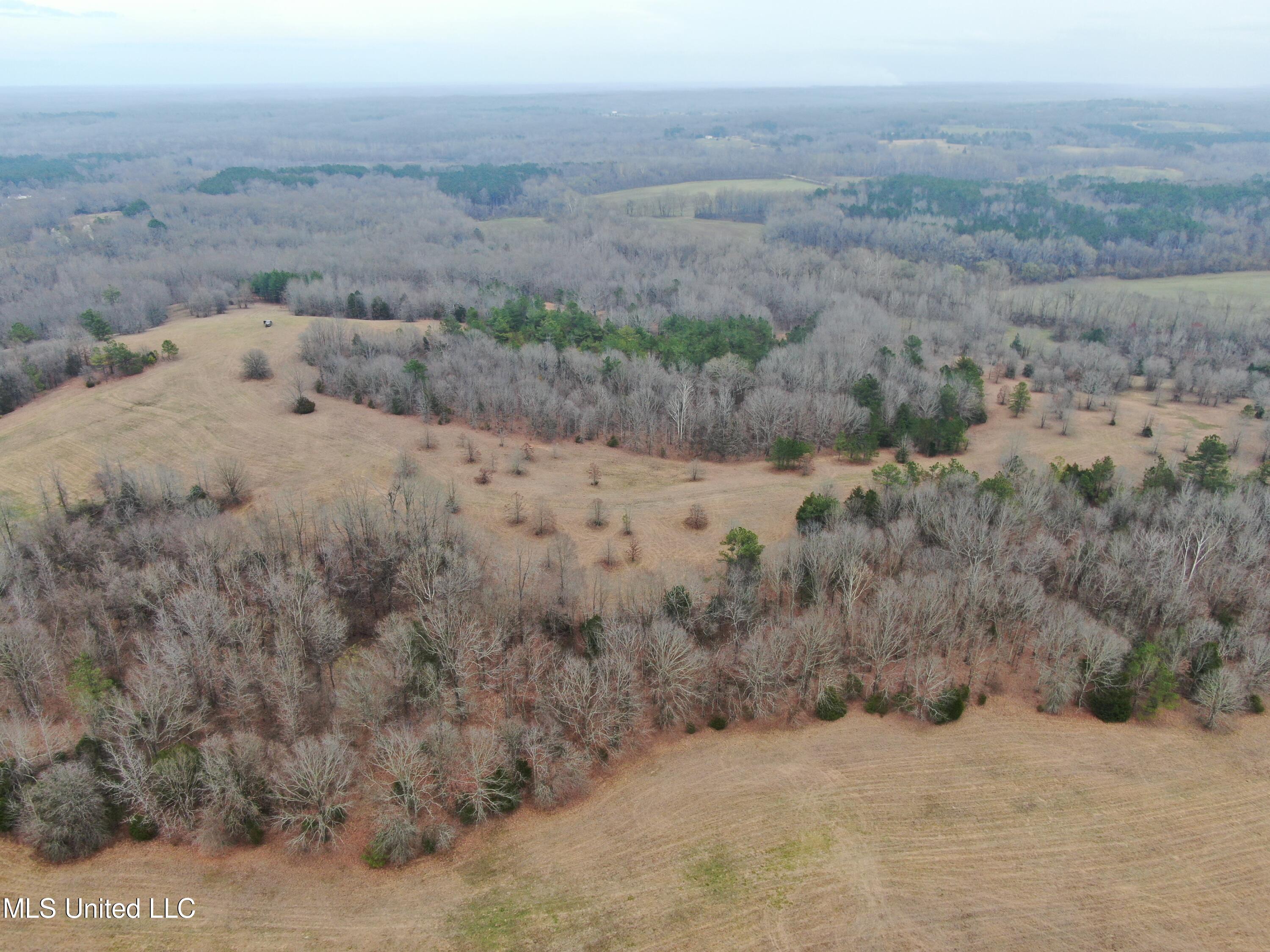730 Concord Road Lamar, MS 38642 - Photo 1 of 28 DJI_0098