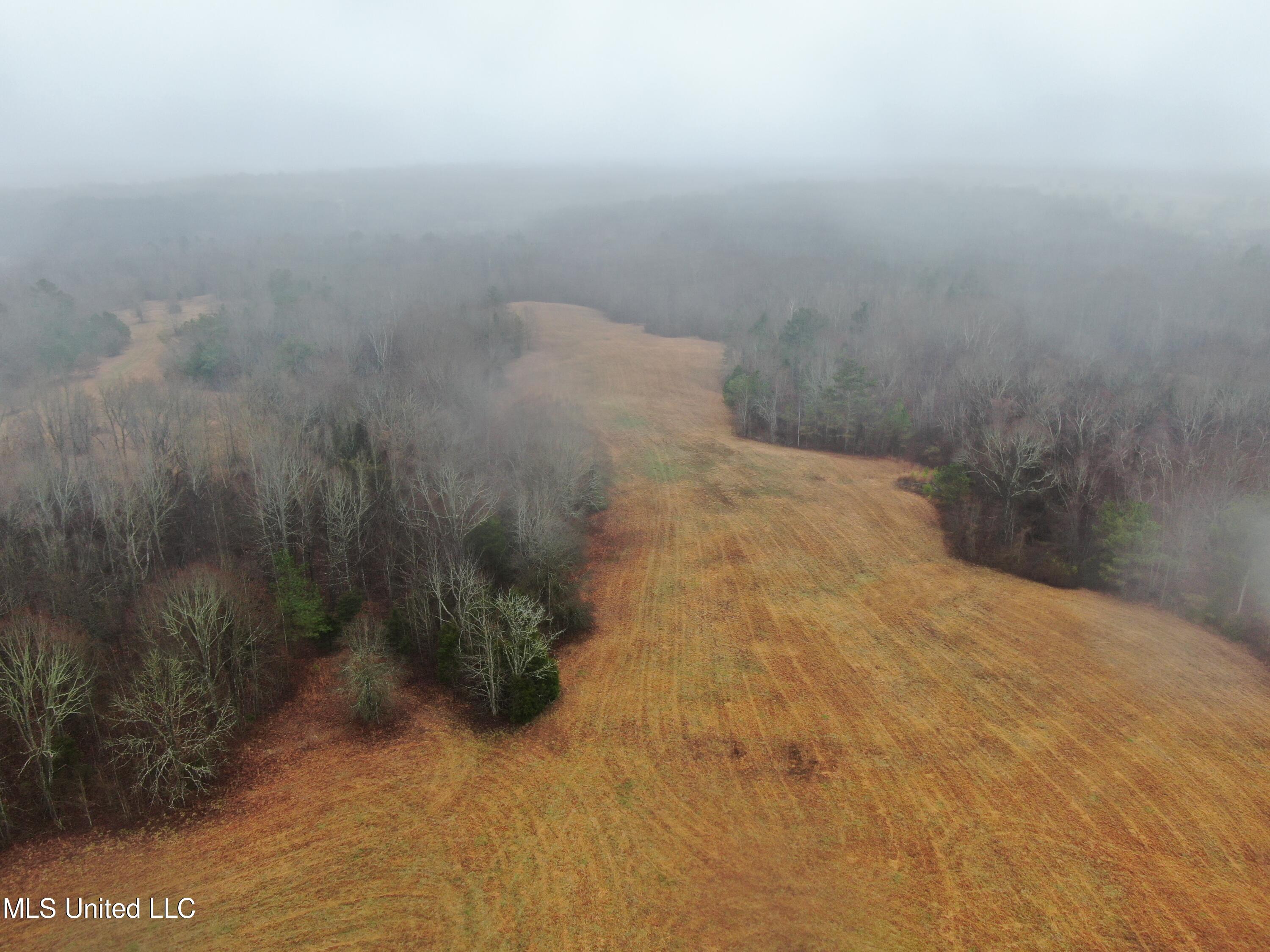 730 Concord Road Lamar, MS 38642 - Photo 11 of 28 DJI_0071