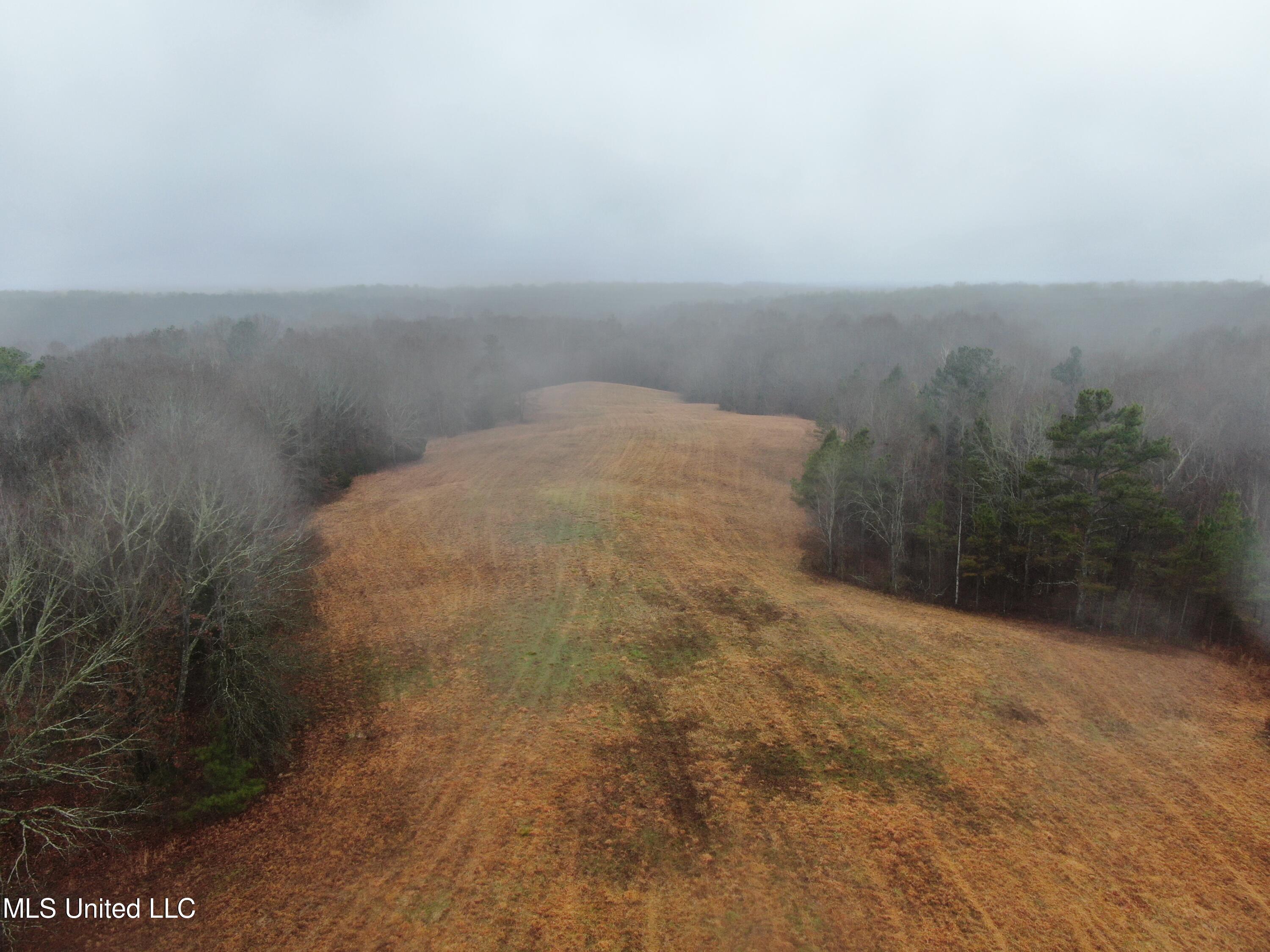 730 Concord Road Lamar, MS 38642 - Photo 12 of 28 DJI_0074
