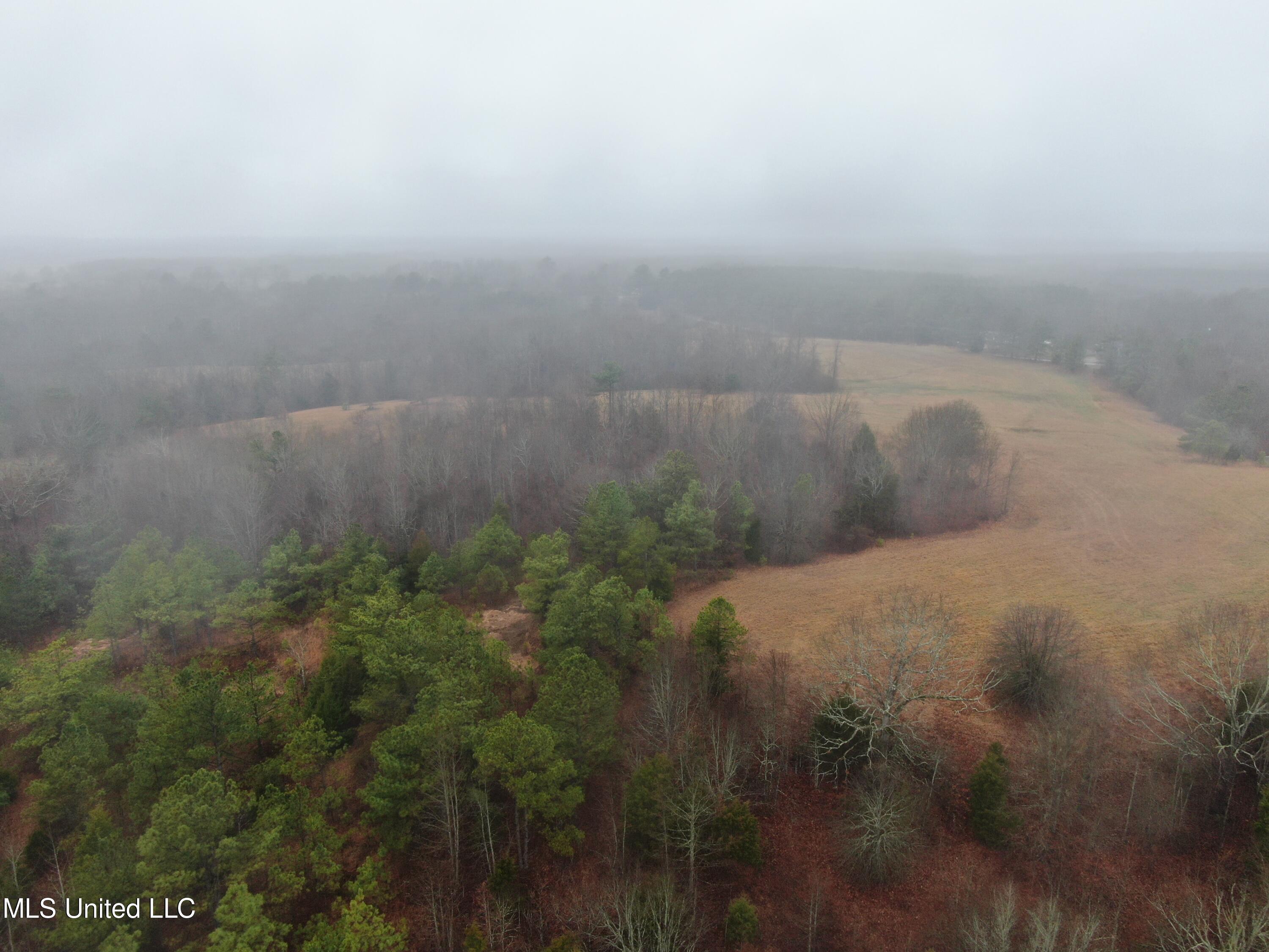 730 Concord Road Lamar, MS 38642 - Photo 13 of 28 DJI_0082
