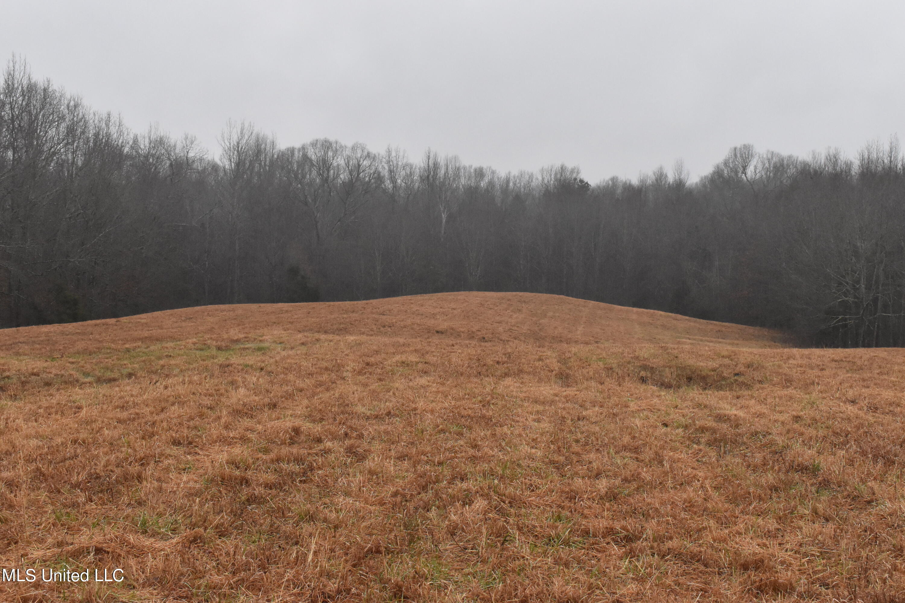 730 Concord Road Lamar, MS 38642 - Photo 14 of 28 DSC_0445