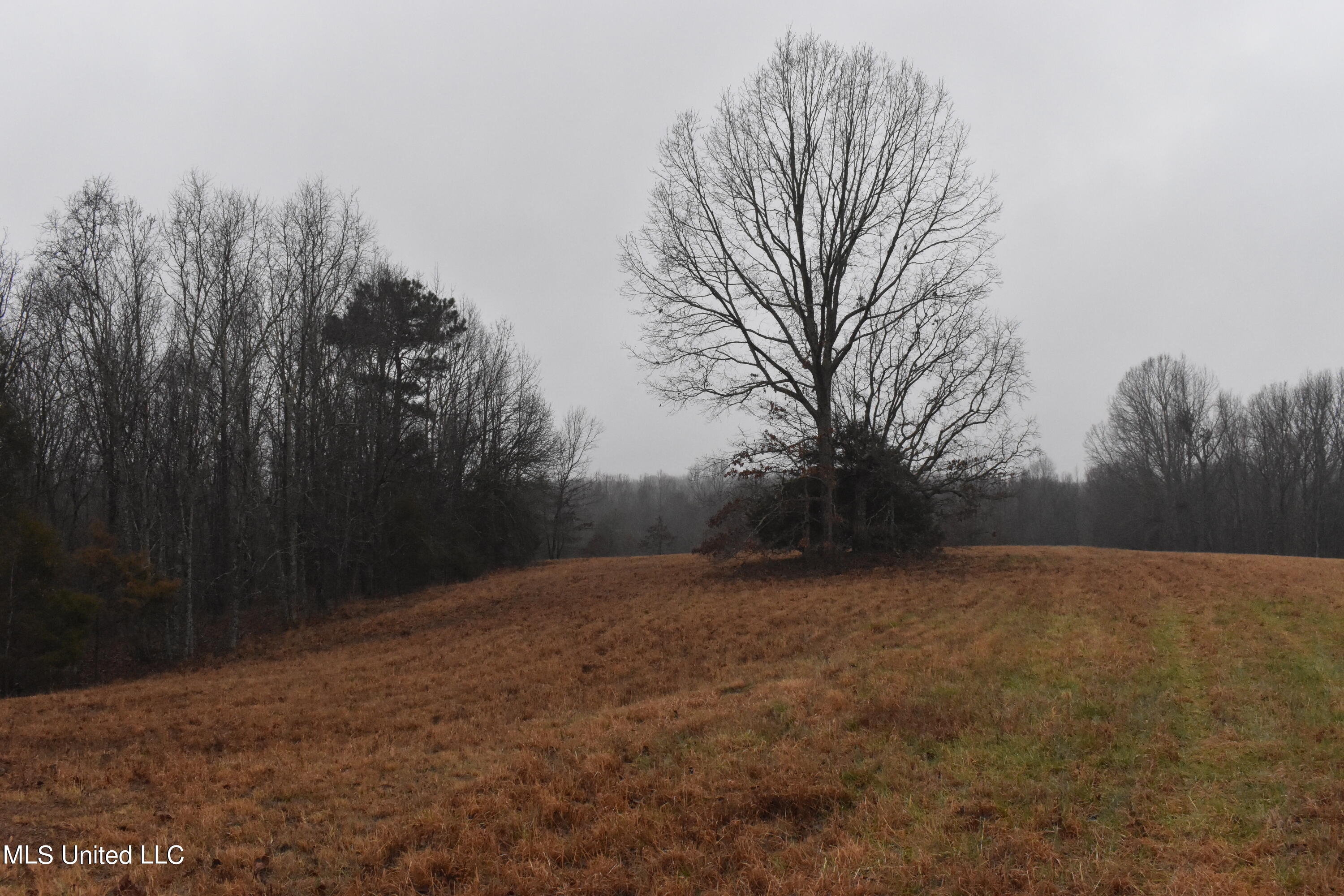 730 Concord Road Lamar, MS 38642 - Photo 15 of 28 DSC_0433
