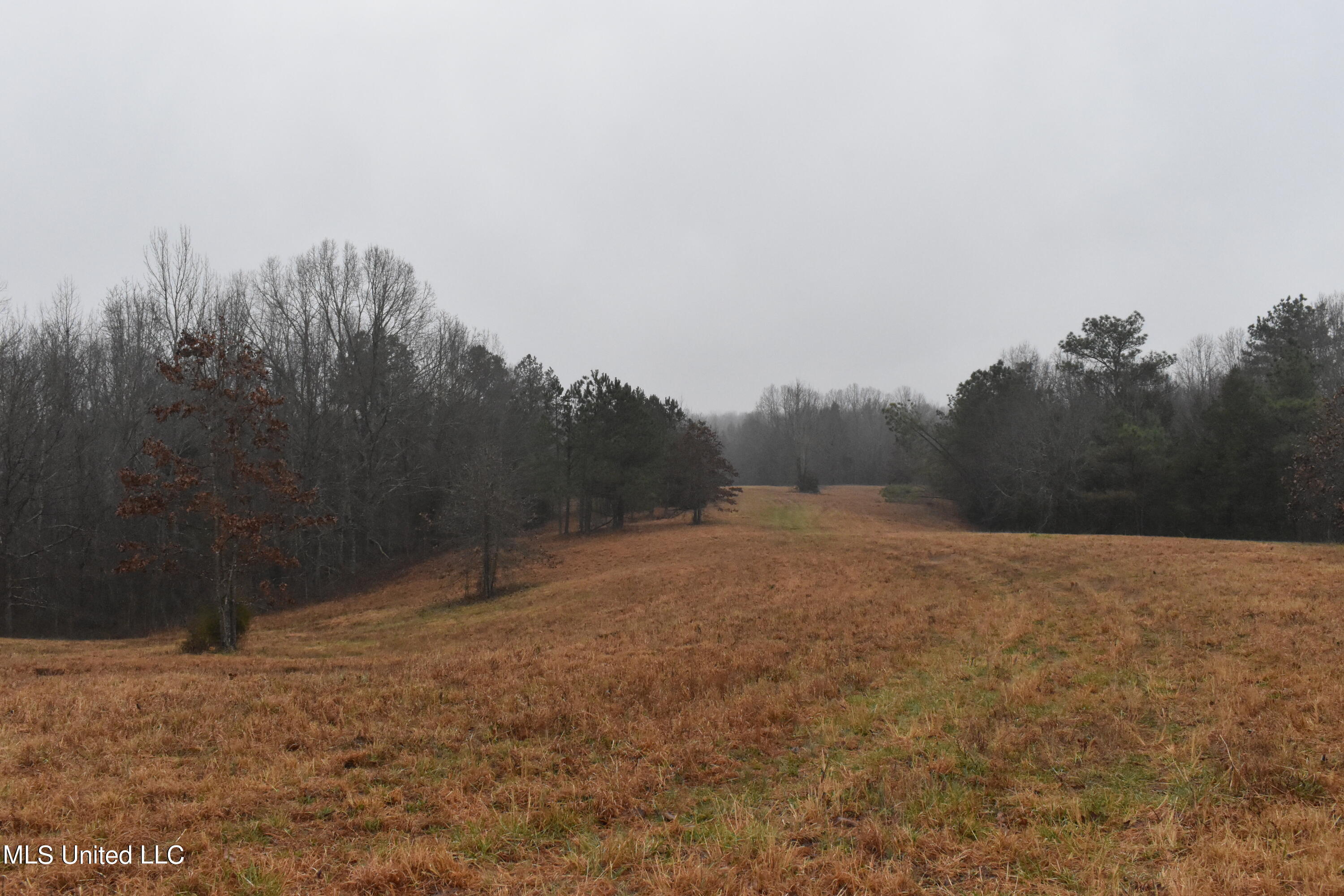 730 Concord Road Lamar, MS 38642 - Photo 16 of 28 DSC_0434
