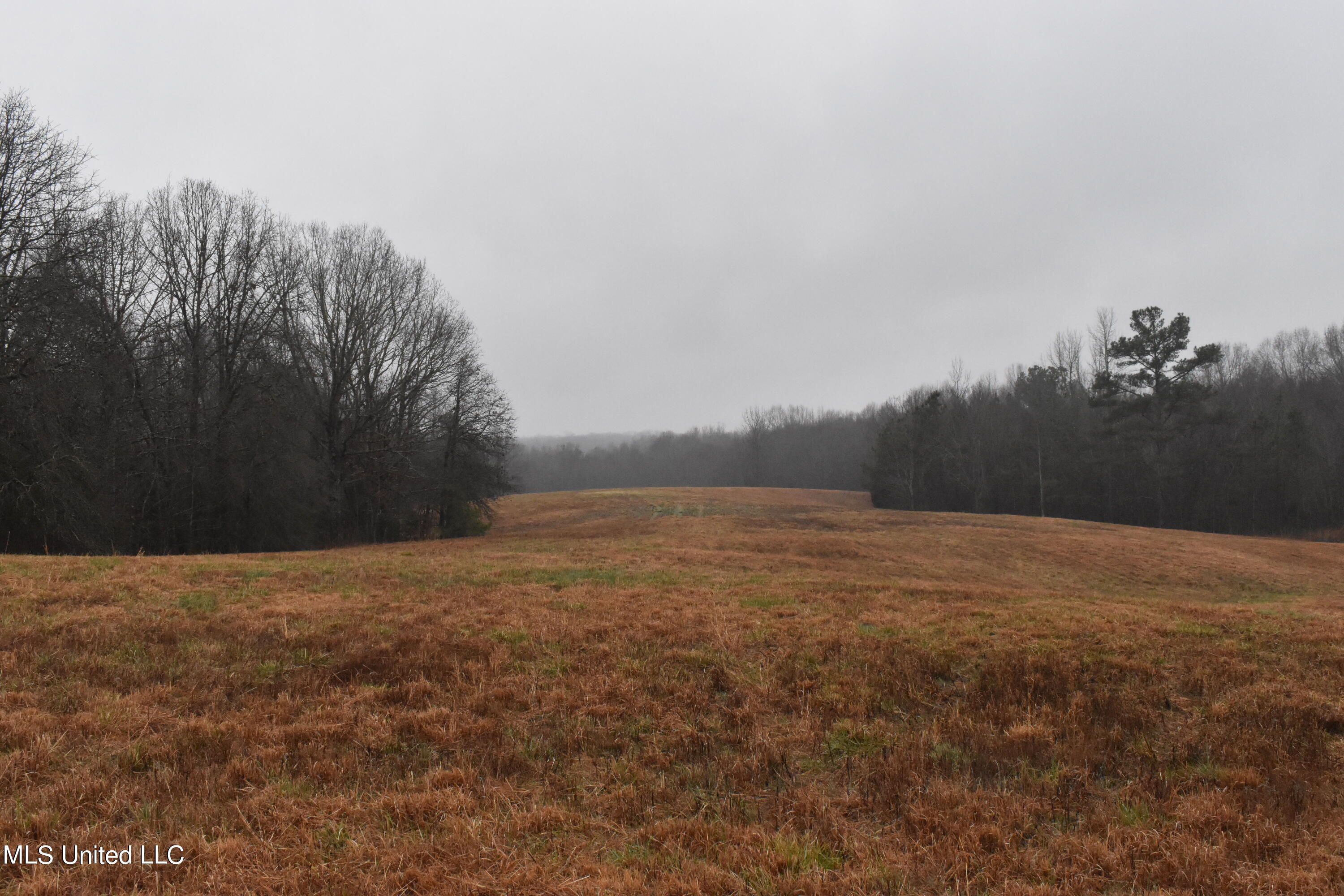 730 Concord Road Lamar, MS 38642 - Photo 17 of 28 DSC_0444