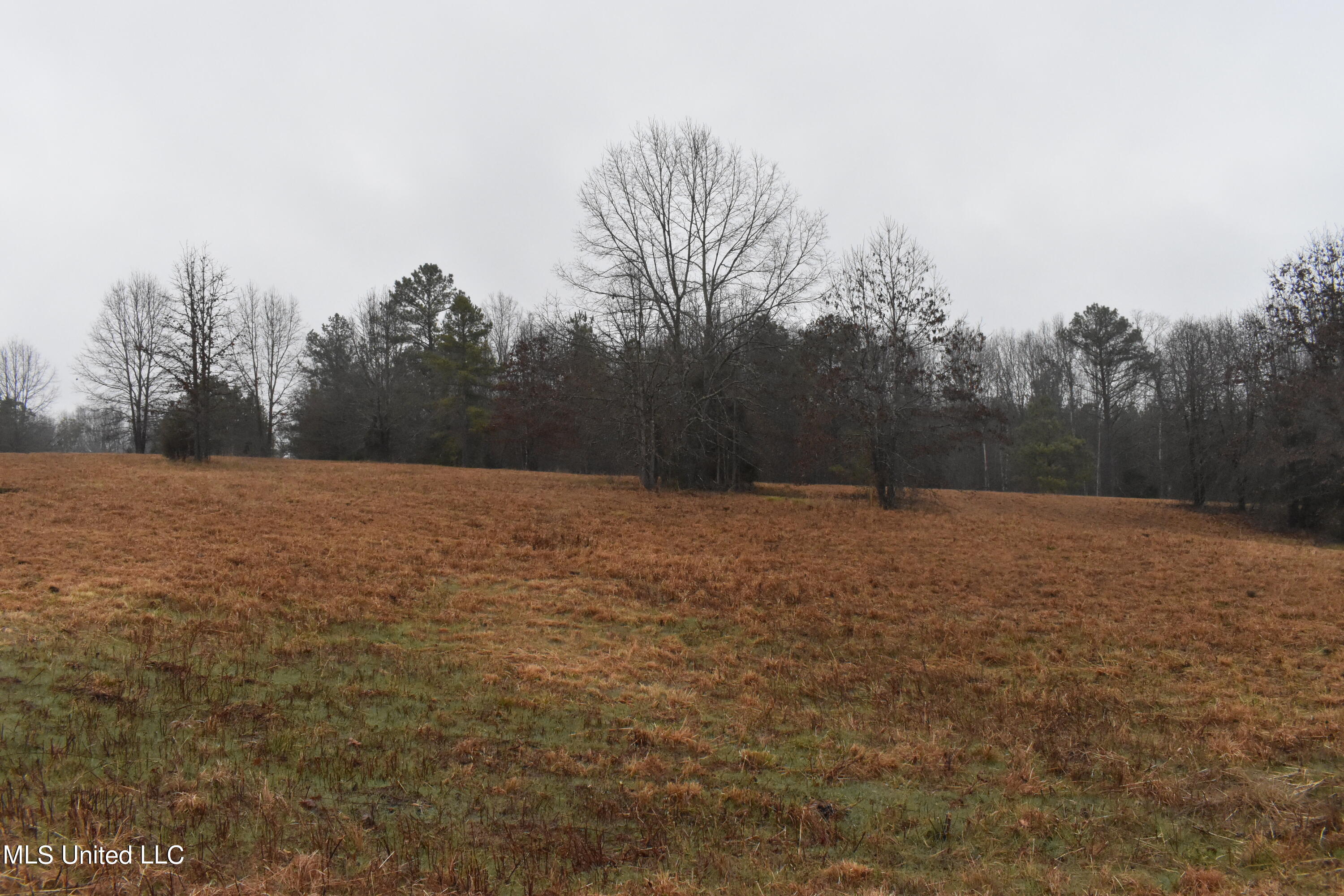730 Concord Road Lamar, MS 38642 - Photo 18 of 28 DSC_0439