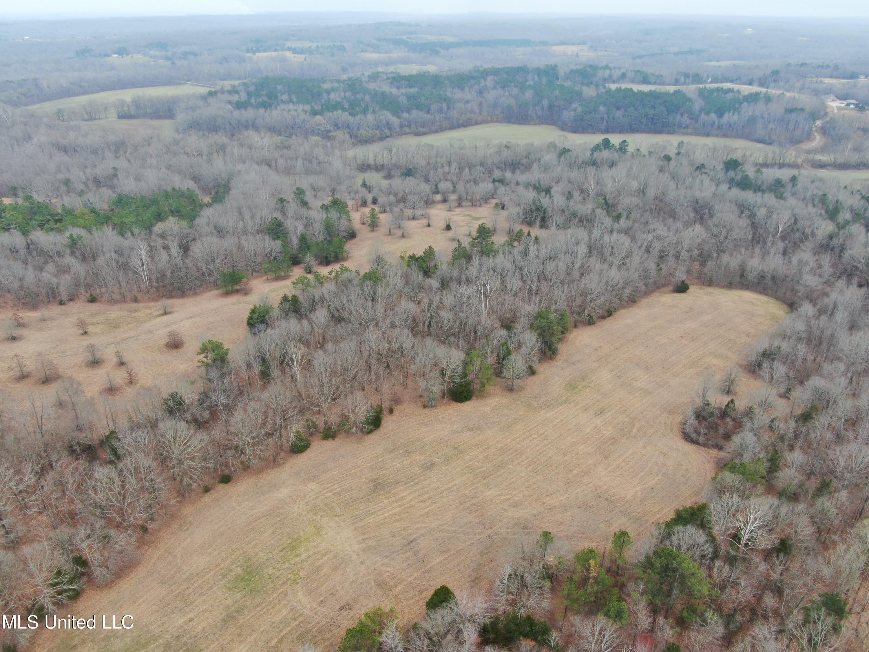 730 Concord Road Lamar, MS 38642 - Photo 2 of 28 DJI_0097