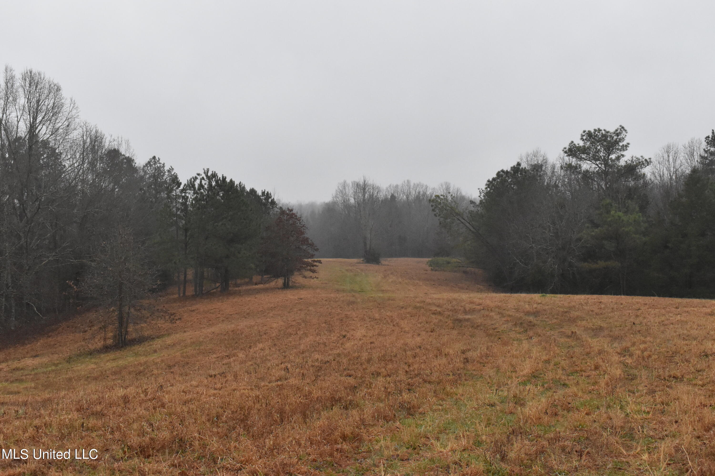 730 Concord Road Lamar, MS 38642 - Photo 21 of 28 DSC_0435