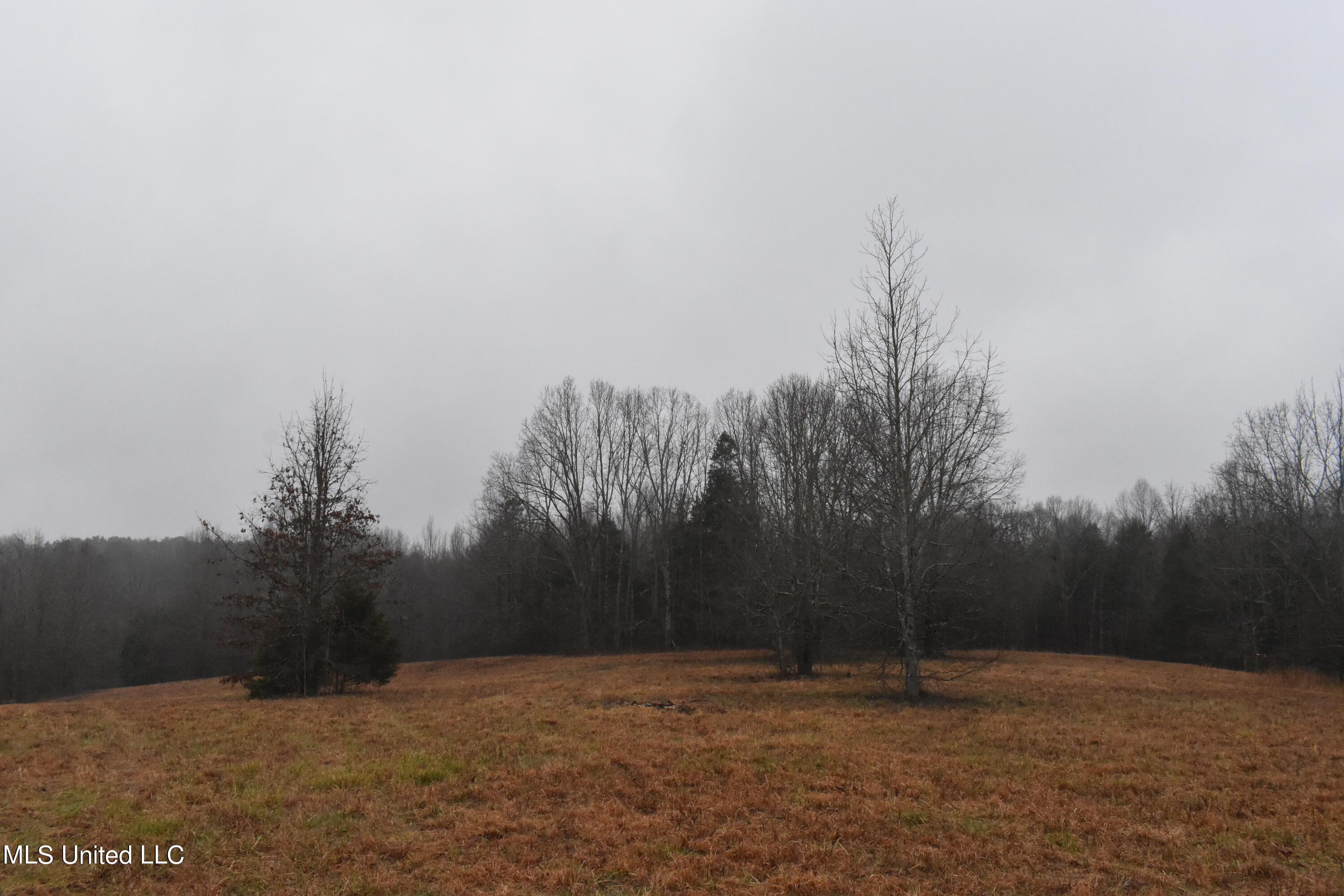 730 Concord Road Lamar, MS 38642 - Photo 23 of 28 DSC_0437