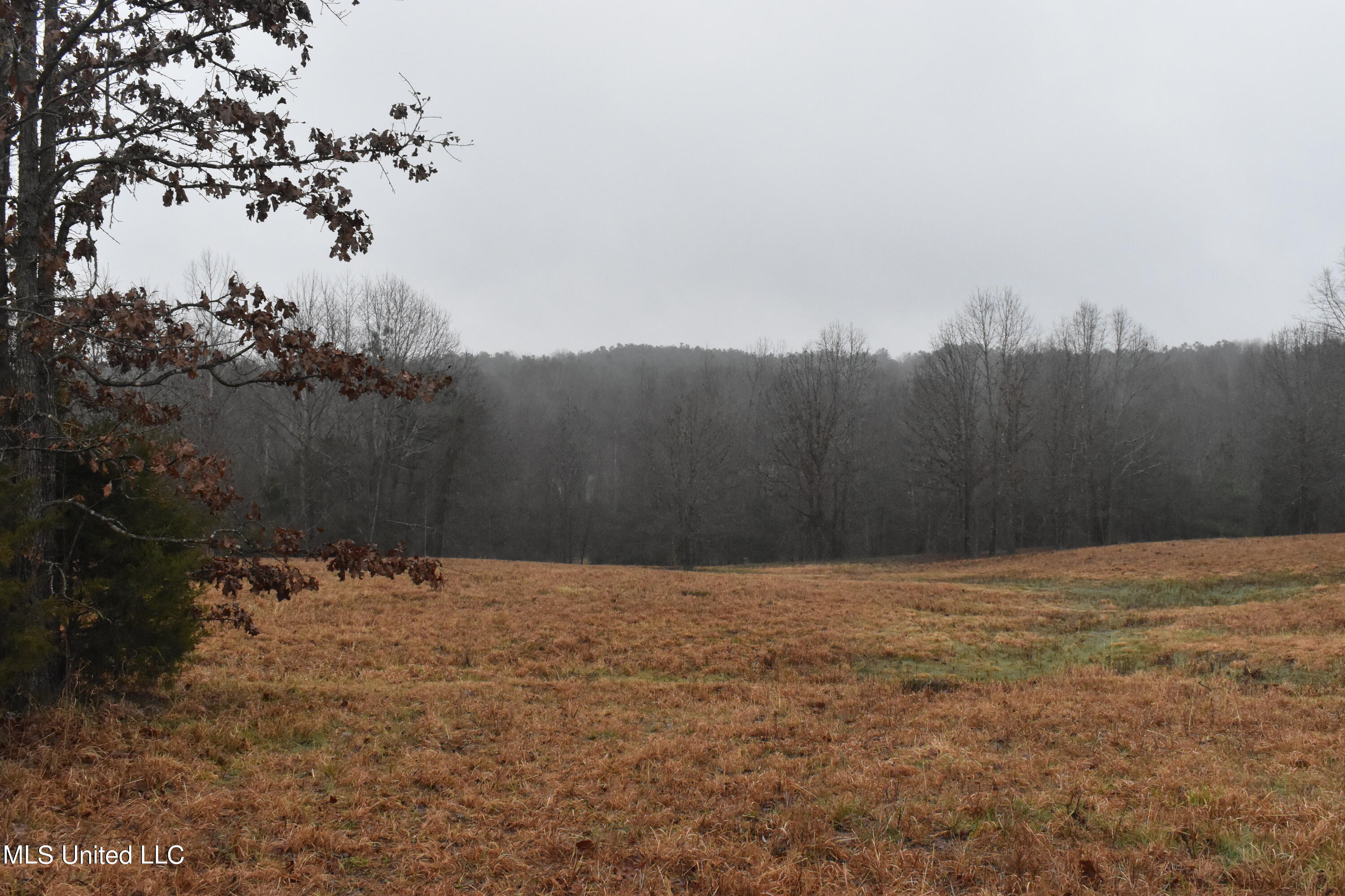 730 Concord Road Lamar, MS 38642 - Photo 24 of 28 DSC_0438