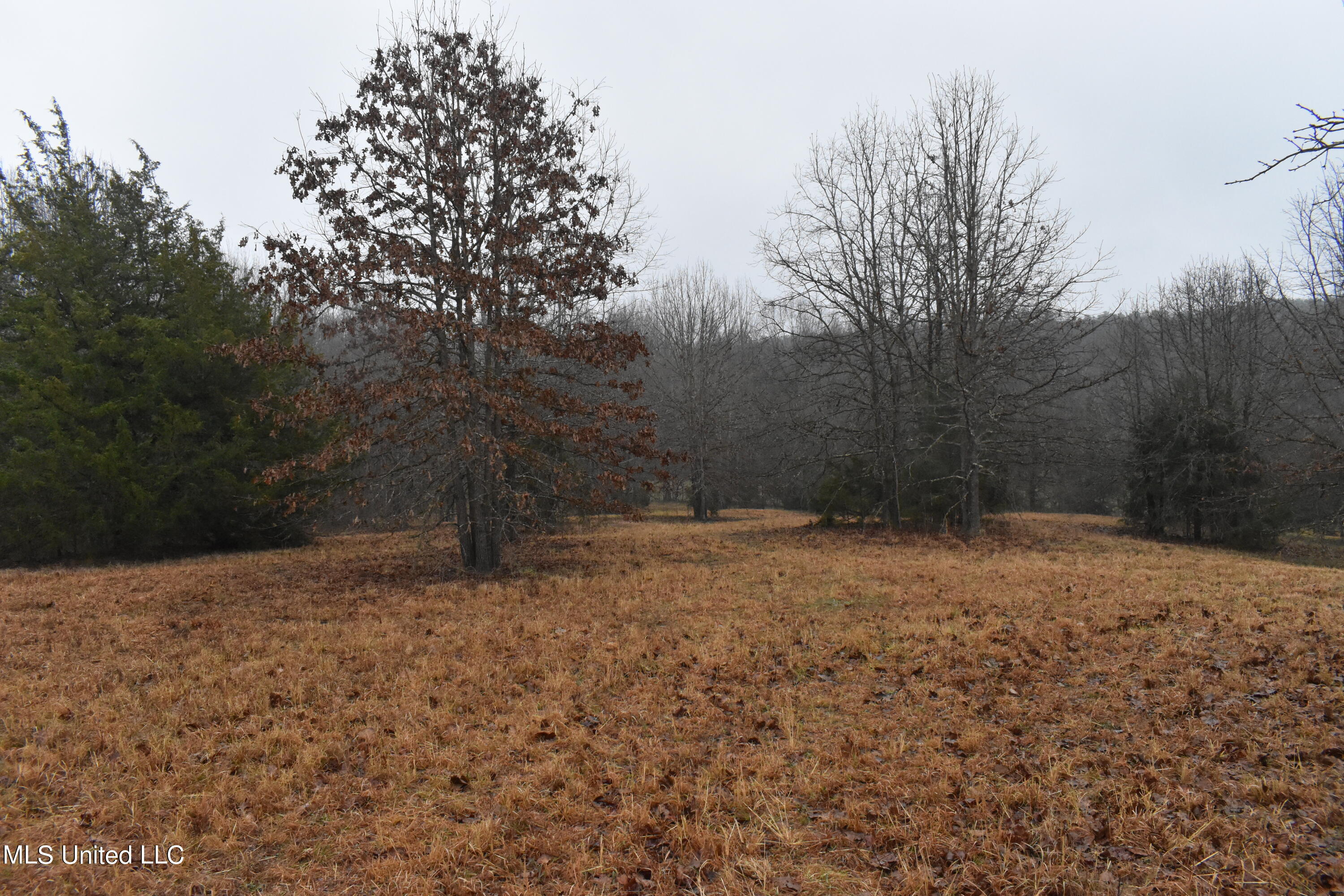 730 Concord Road Lamar, MS 38642 - Photo 25 of 28 DSC_0440