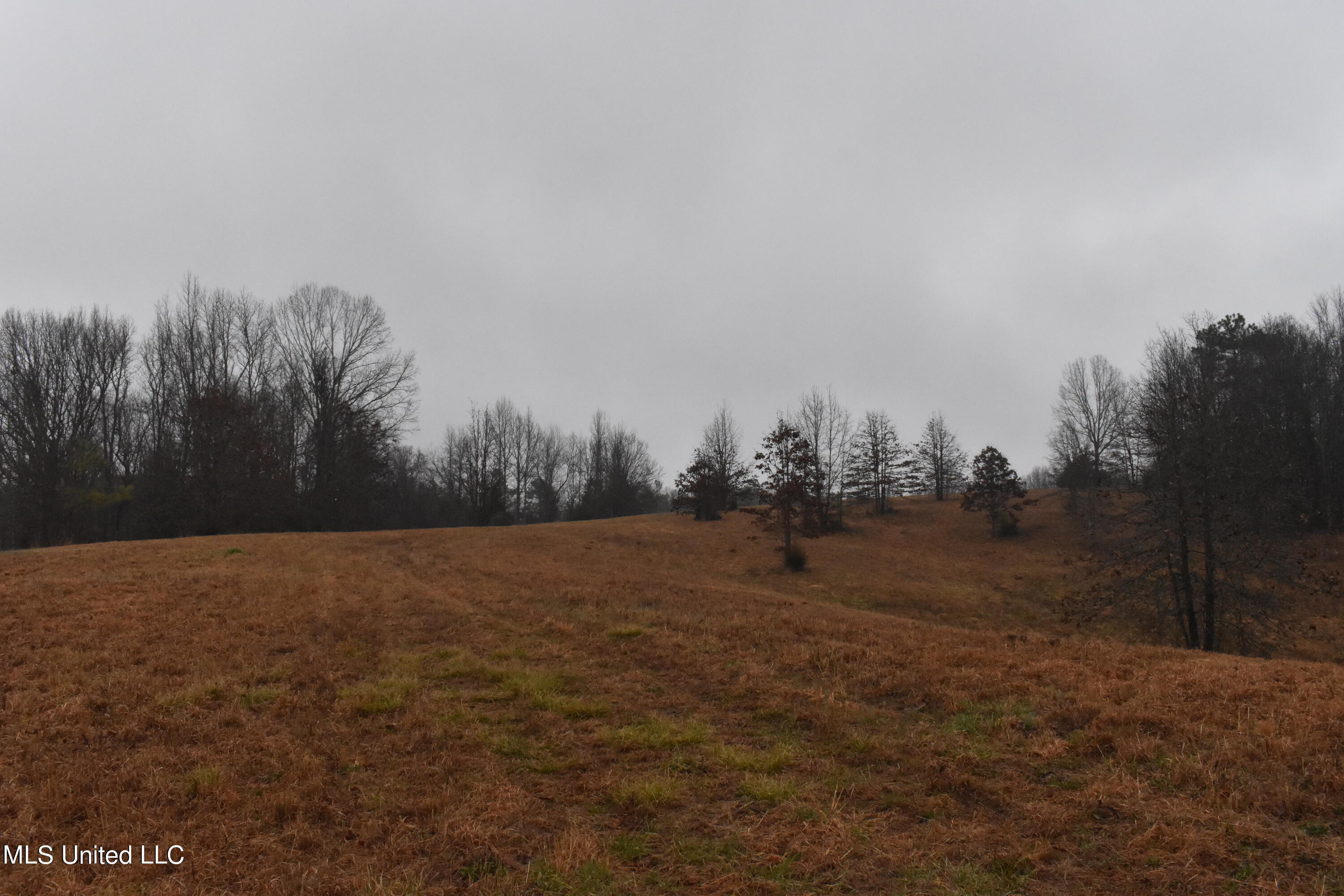 730 Concord Road Lamar, MS 38642 - Photo 26 of 28 DSC_0441
