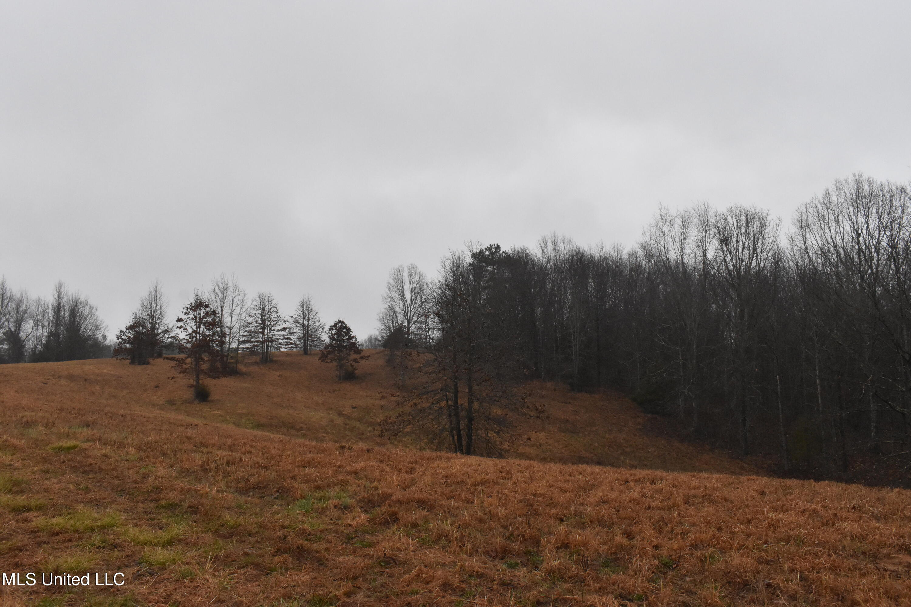 730 Concord Road Lamar, MS 38642 - Photo 27 of 28 DSC_0442