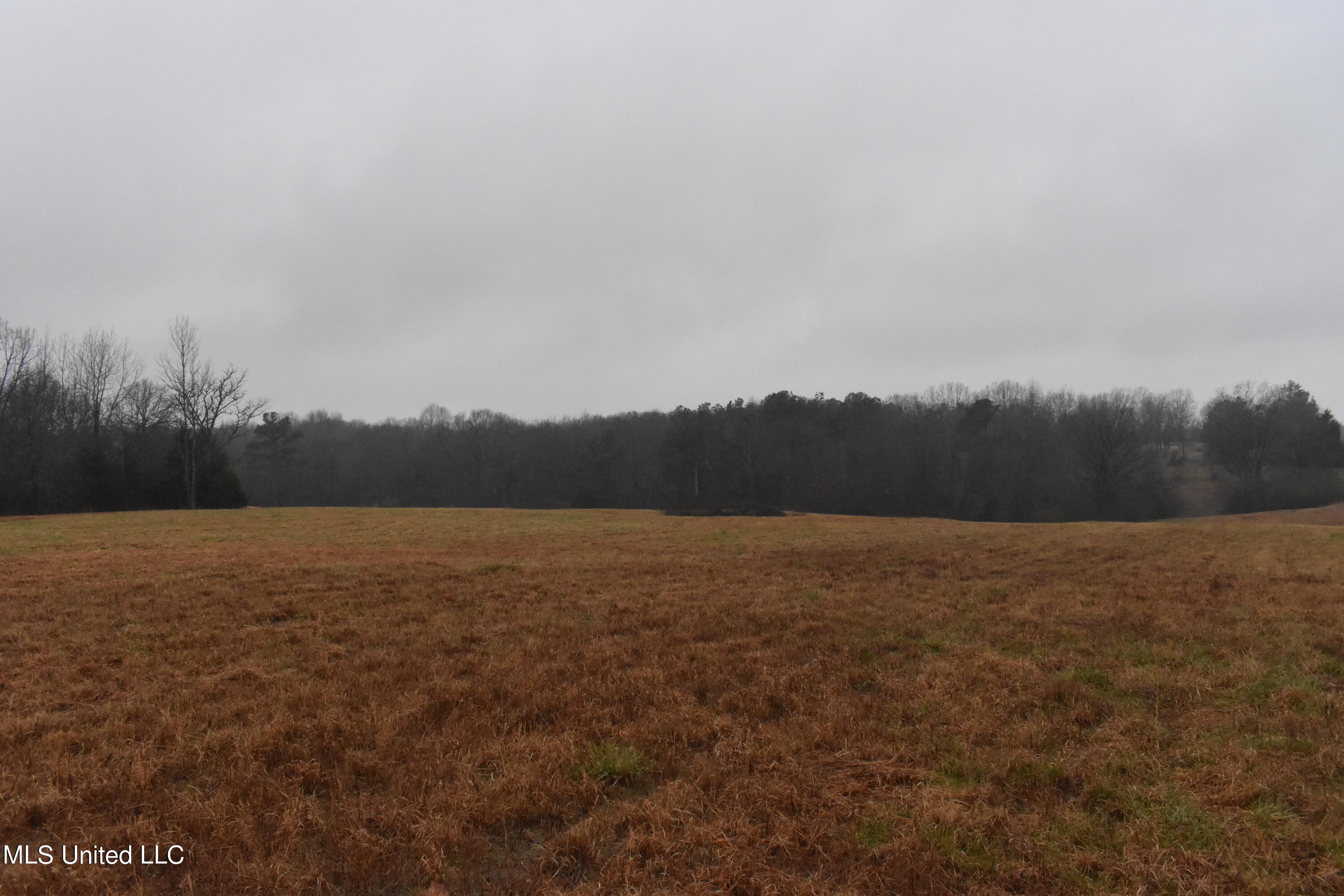 730 Concord Road Lamar, MS 38642 - Photo 28 of 28 DSC_0443