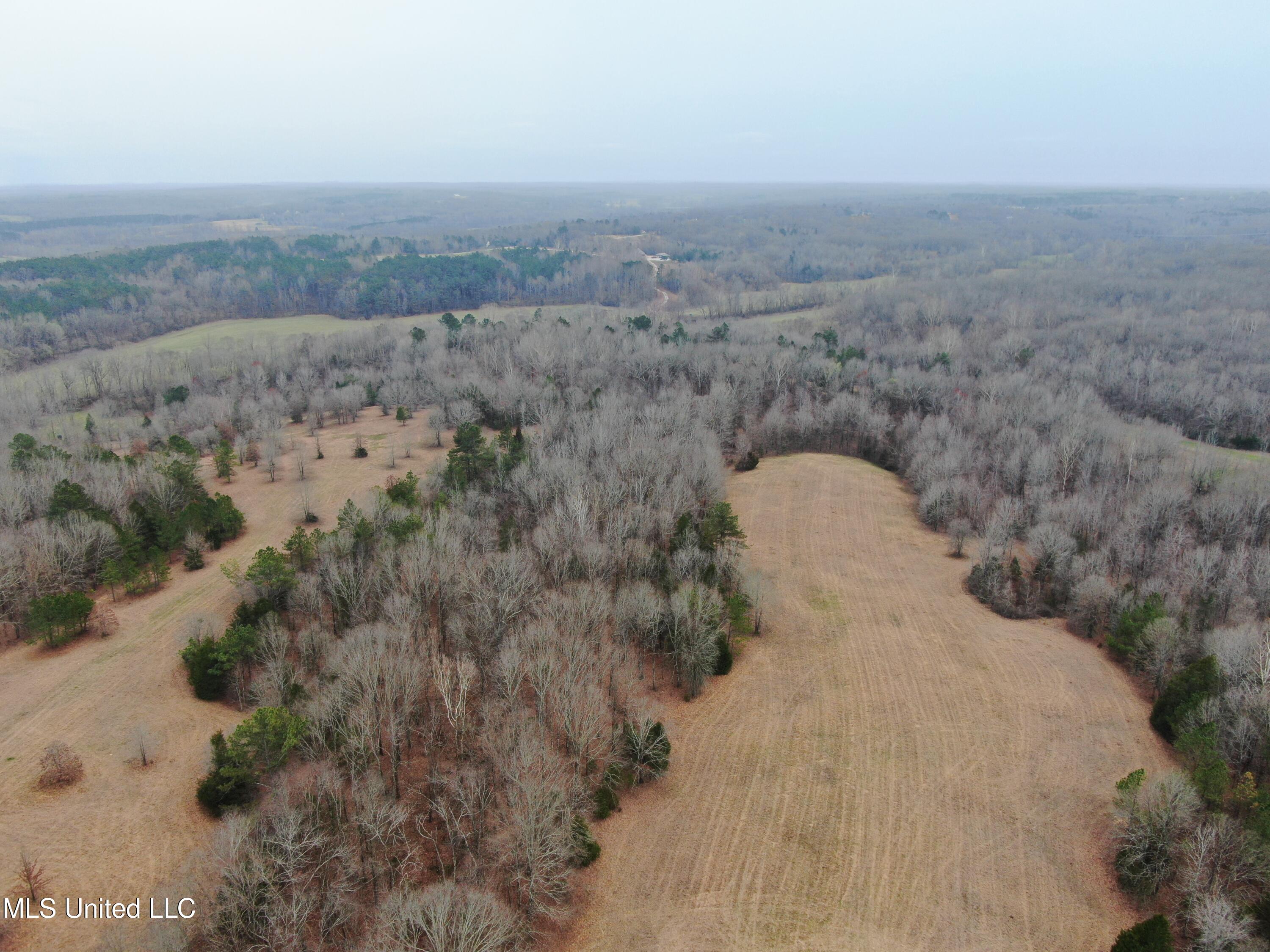 730 Concord Road Lamar, MS 38642 - Photo 3 of 28 DJI_0096