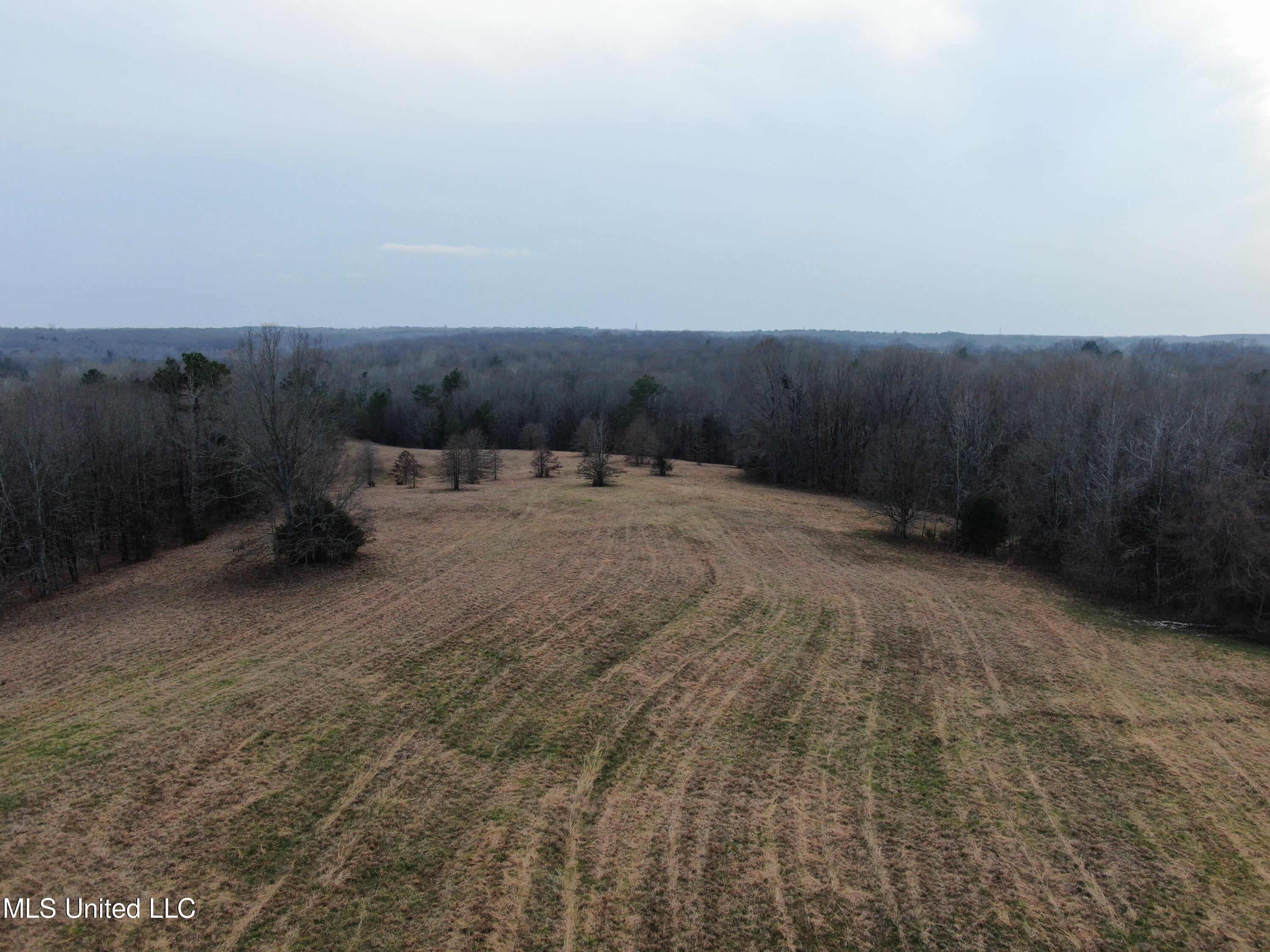 730 Concord Road Lamar, MS 38642 - Photo 4 of 28 DJI_0089