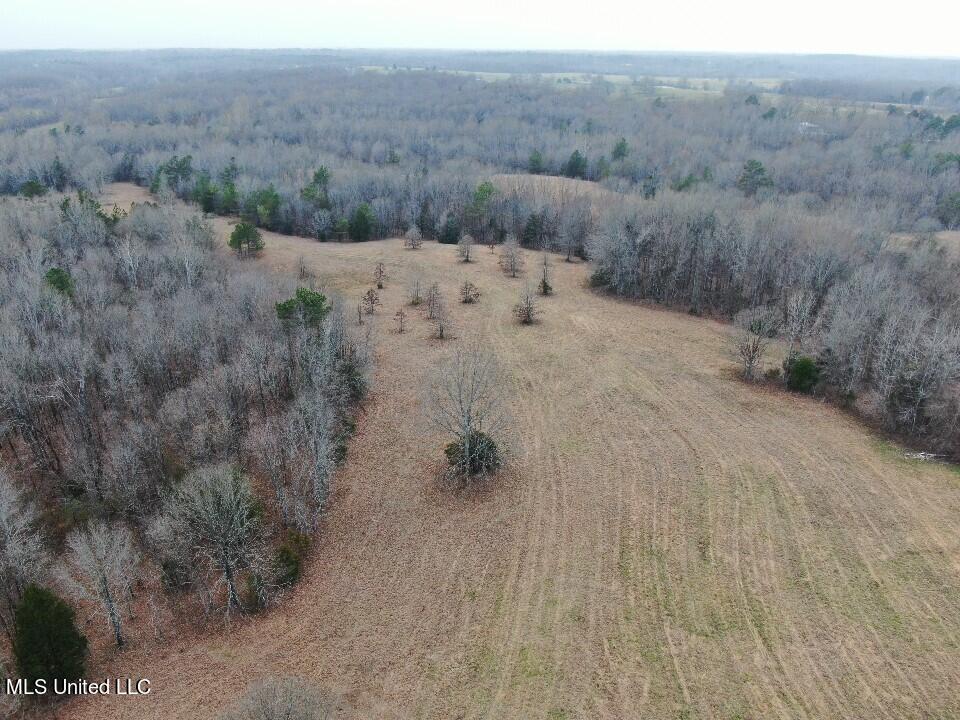 730 Concord Road Lamar, MS 38642 - Photo 5 of 28 DJI_0087.DNG