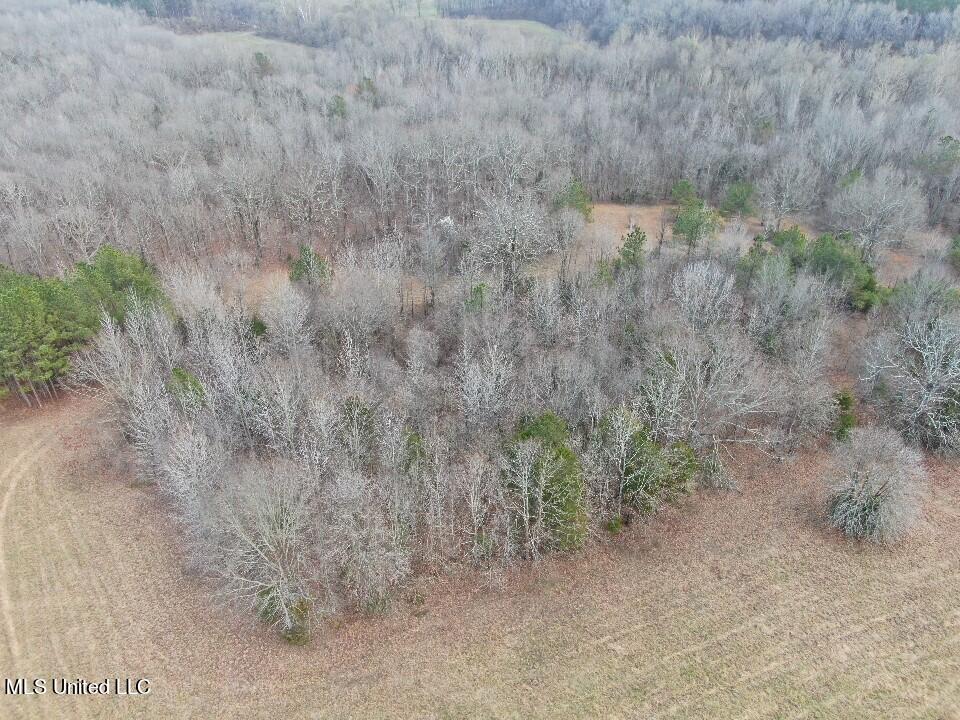 730 Concord Road Lamar, MS 38642 - Photo 6 of 28 DJI_0084.DNG
