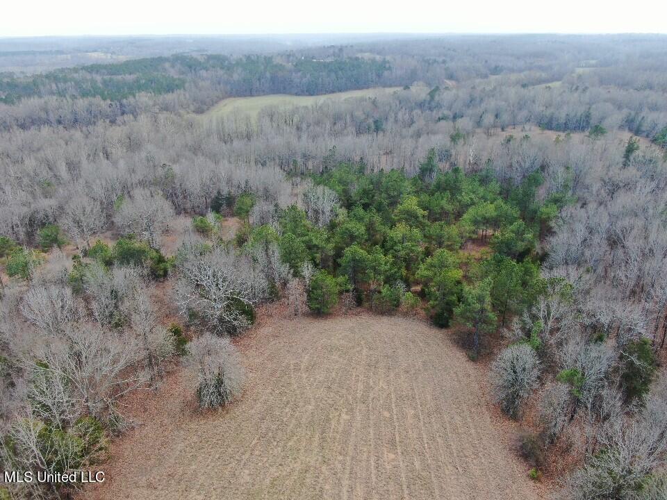 730 Concord Road Lamar, MS 38642 - Photo 7 of 28 DJI_0083.DNG