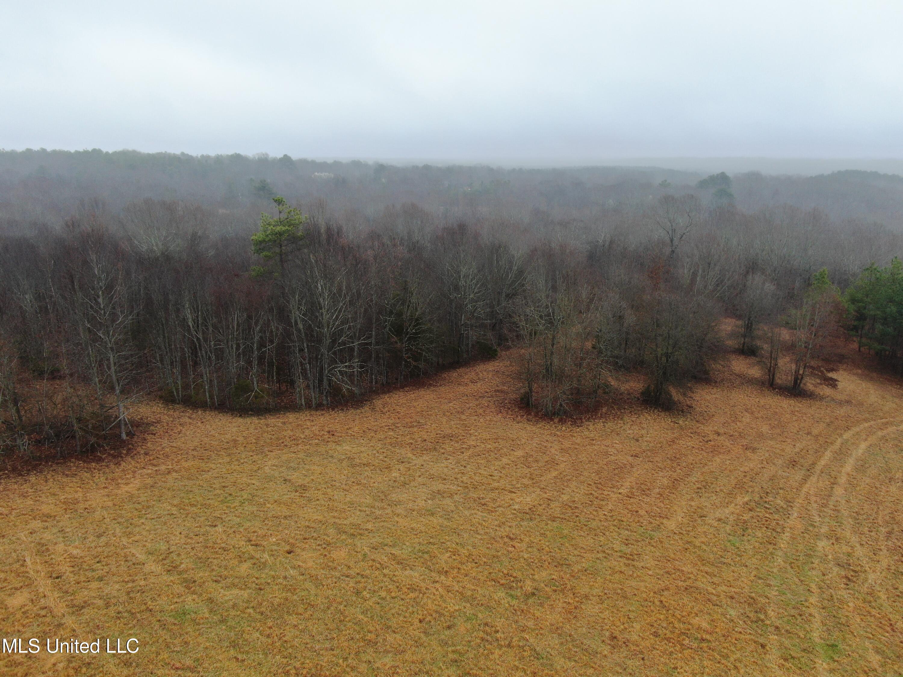 730 Concord Road Lamar, MS 38642 - Photo 8 of 28 land