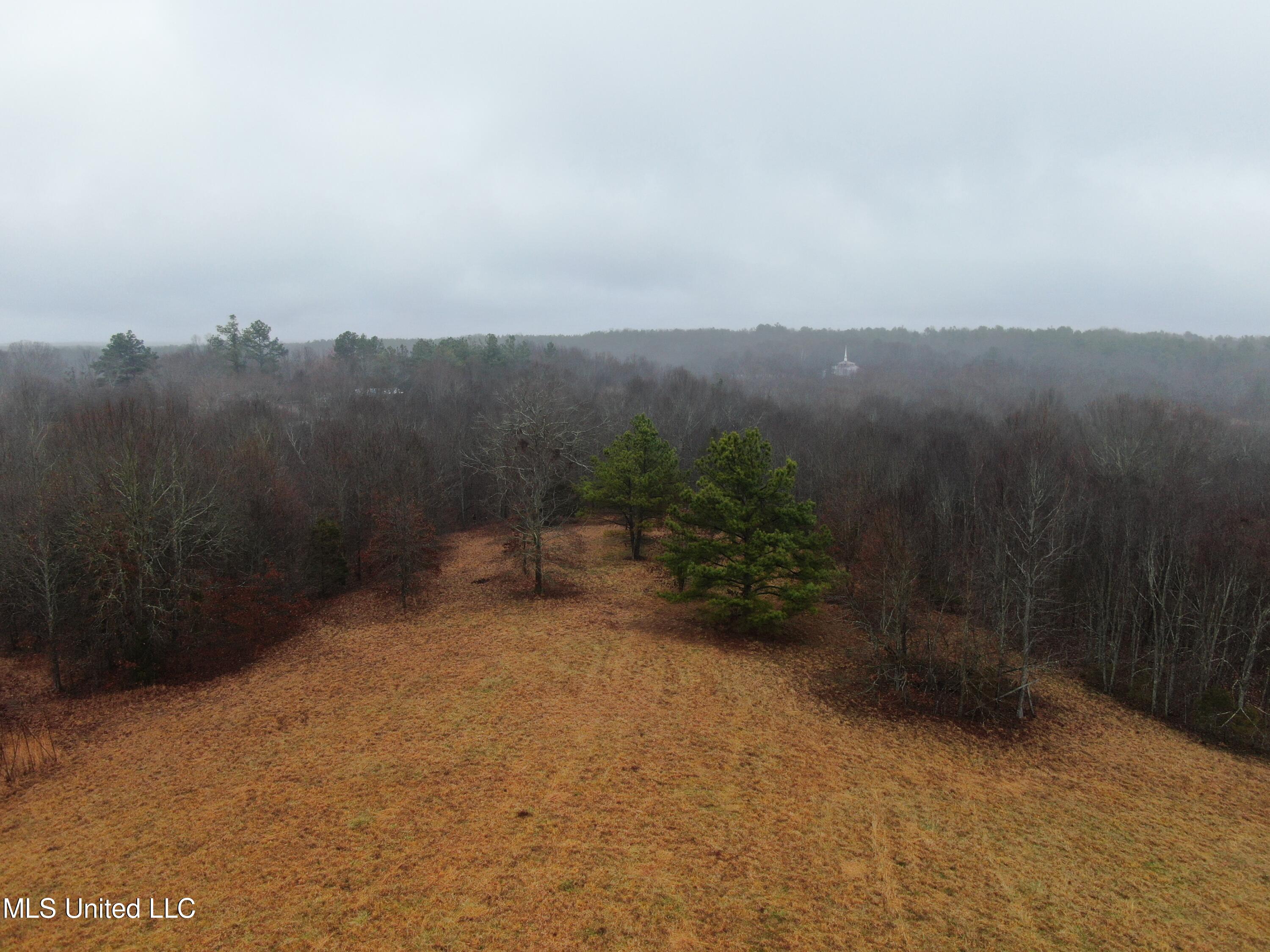 730 Concord Road Lamar, MS 38642 - Photo 9 of 28 DJI_0056