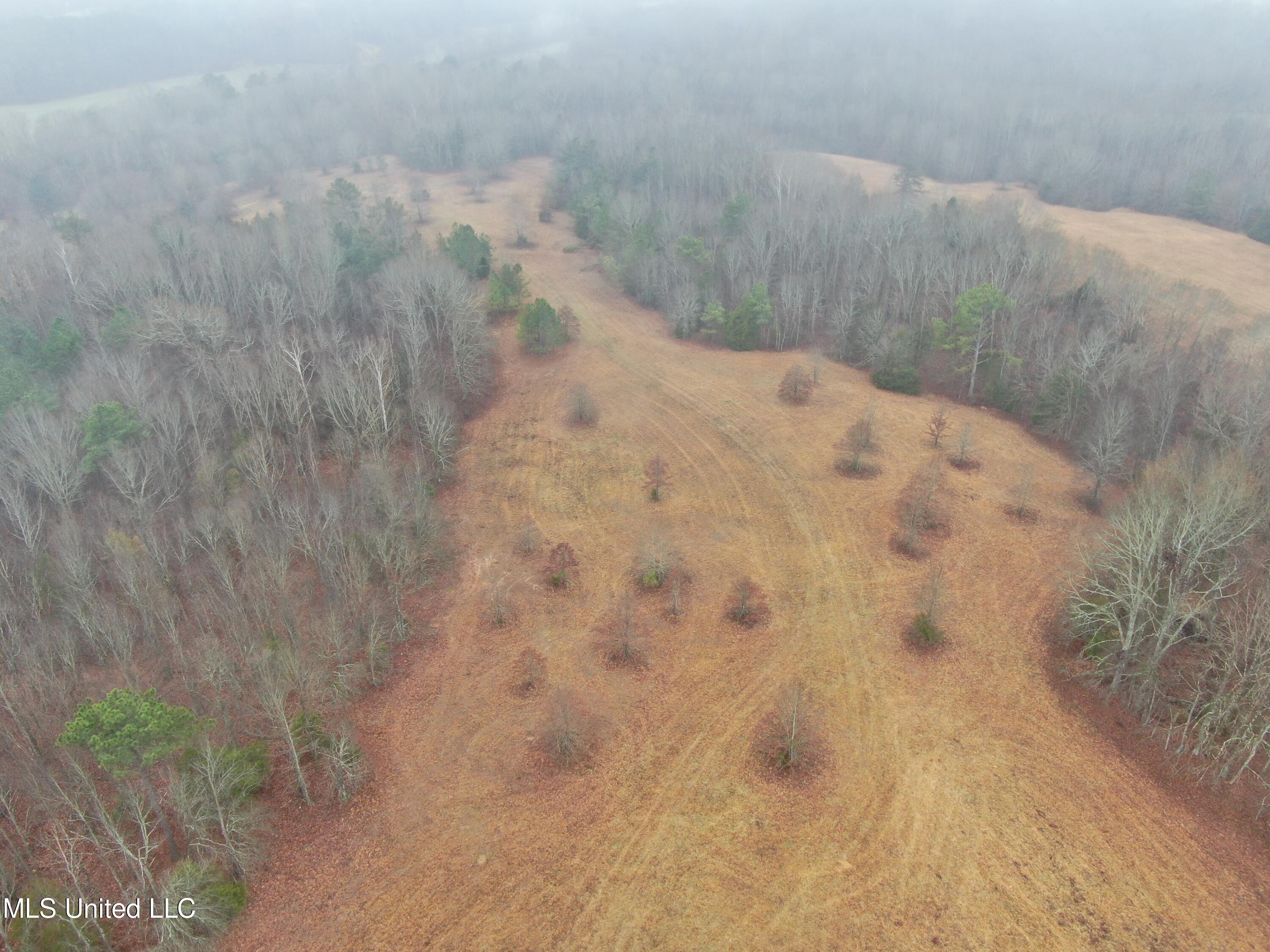 730 Concord Road Lamar, MS 38642 - Photo 10 of 28 DJI_0064