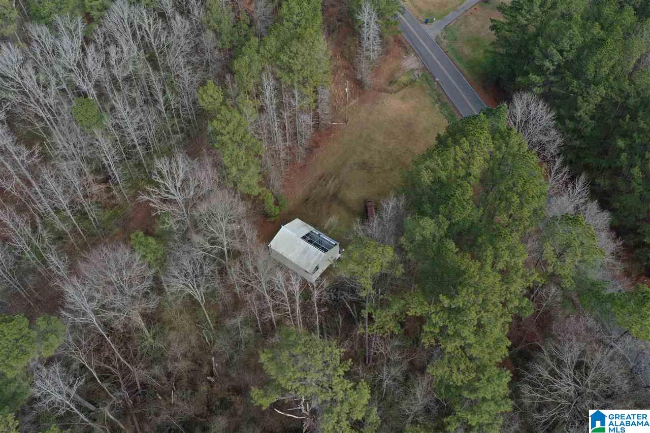 6441 Snowville Brent Road, Unit 1 Dora, AL 35062 - Photo 5 of 5