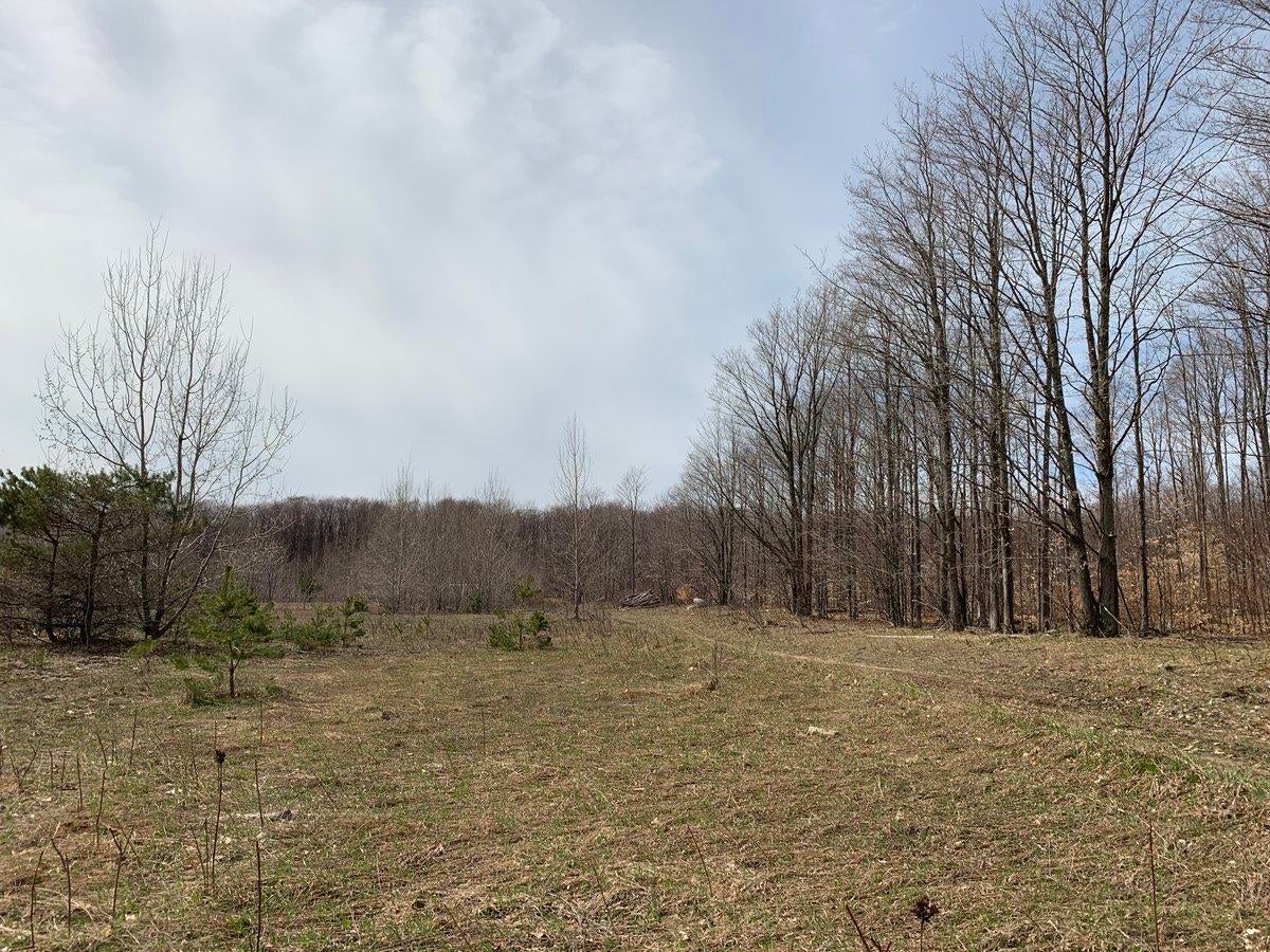 Valley Road Levering, MI 49755 - Photo 27 of 34 Gallery Image 27