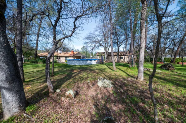 a view of a park with large trees