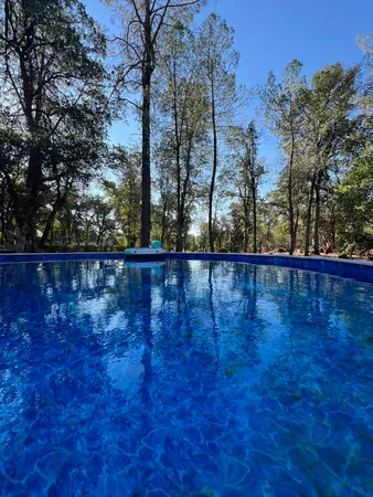 a view of a yard with trees in the background