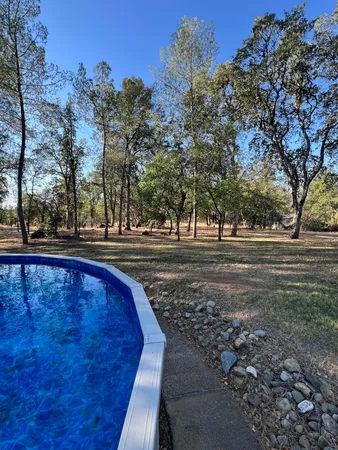 a view of a yard with trees