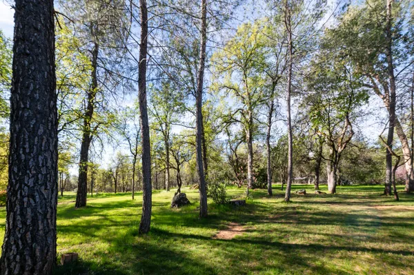 a view of a golf course