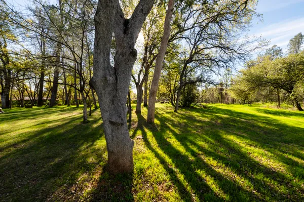 a view of swimming pool with a yard
