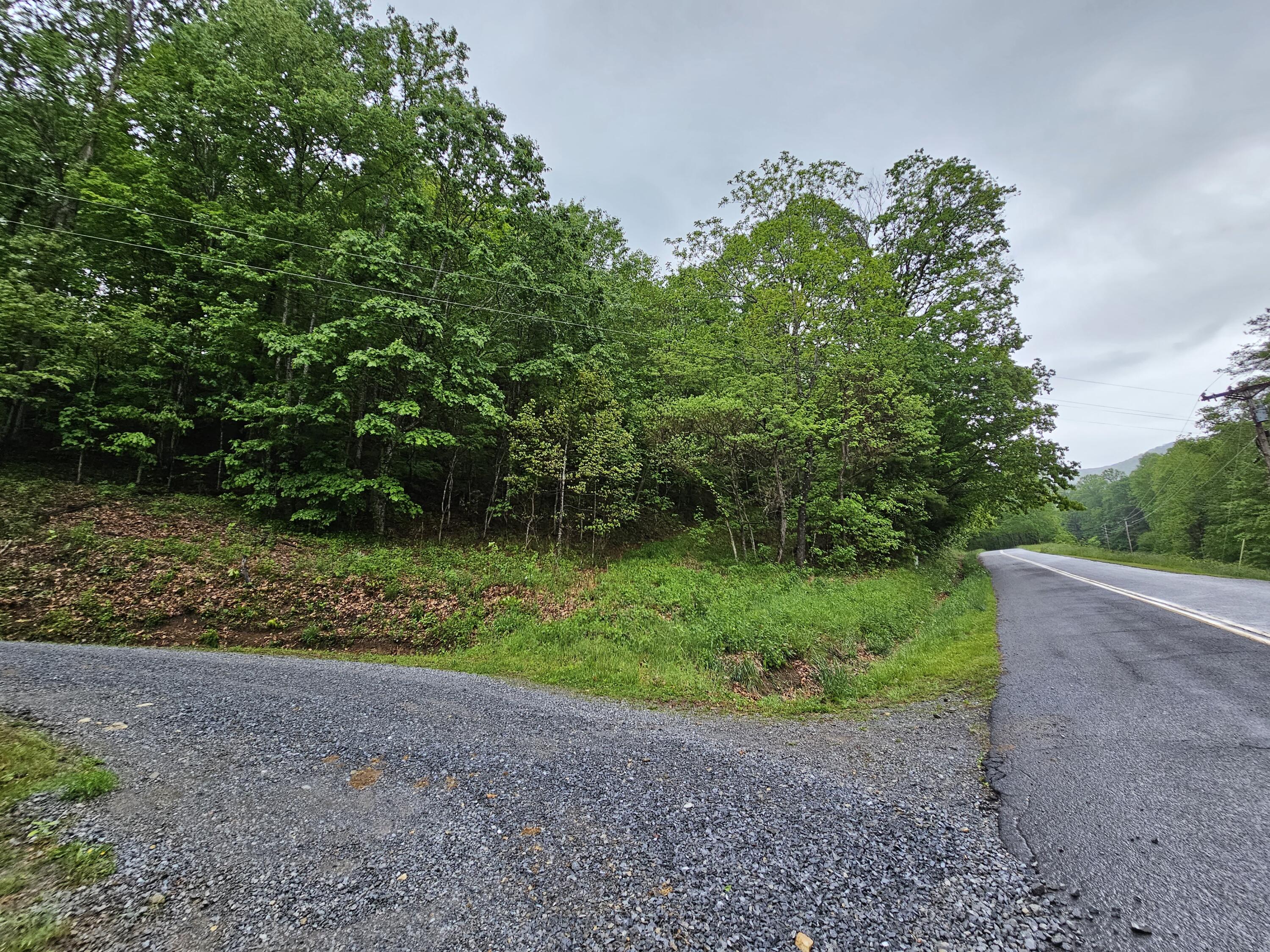 Tbd Left Higgins Creek Road, Unit 21 Flag Pond, TN 37657 - Photo 1 of 6 20230512_184157