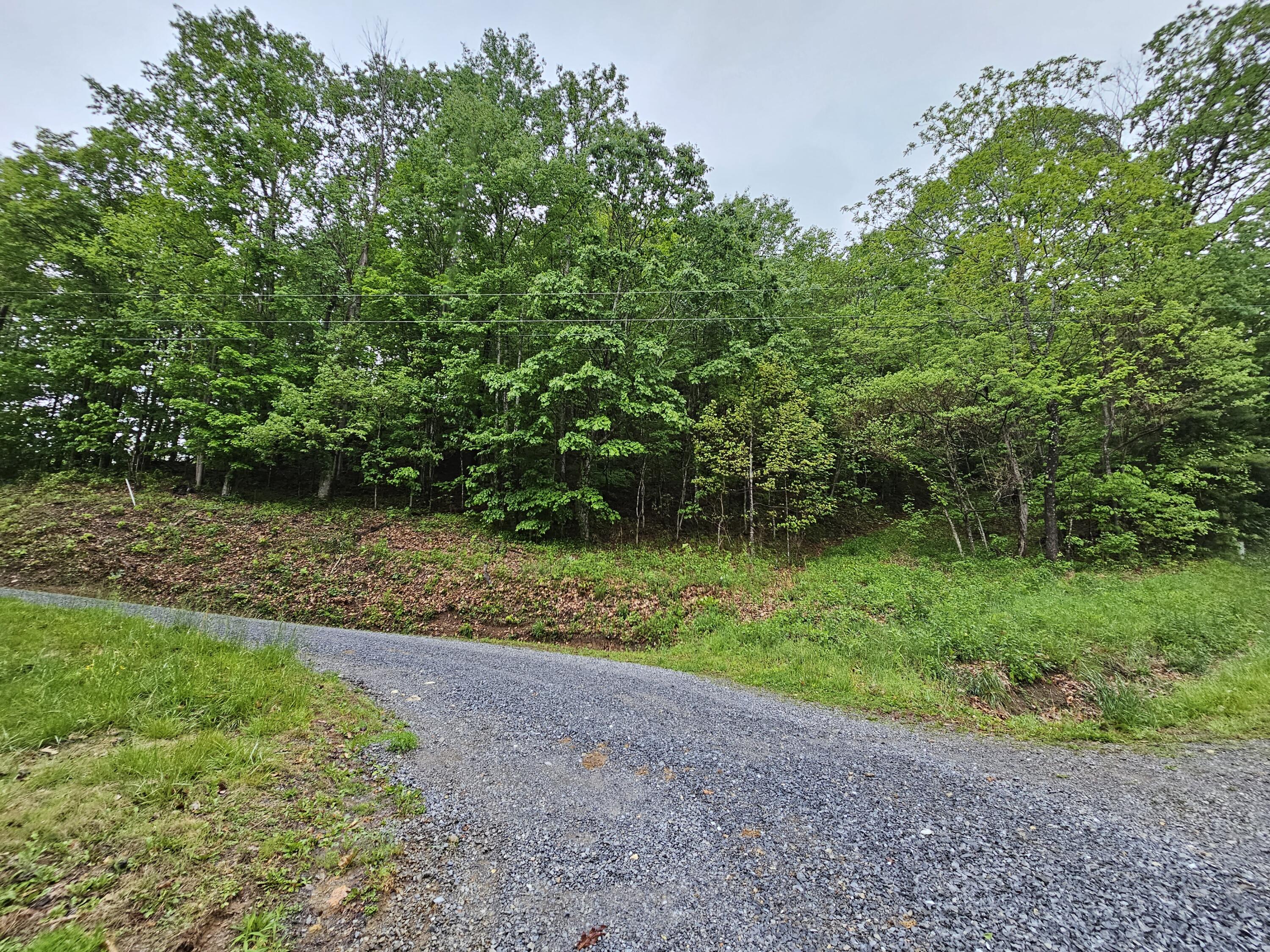 Tbd Left Higgins Creek Road, Unit 21 Flag Pond, TN 37657 - Photo 2 of 6 20230512_184156