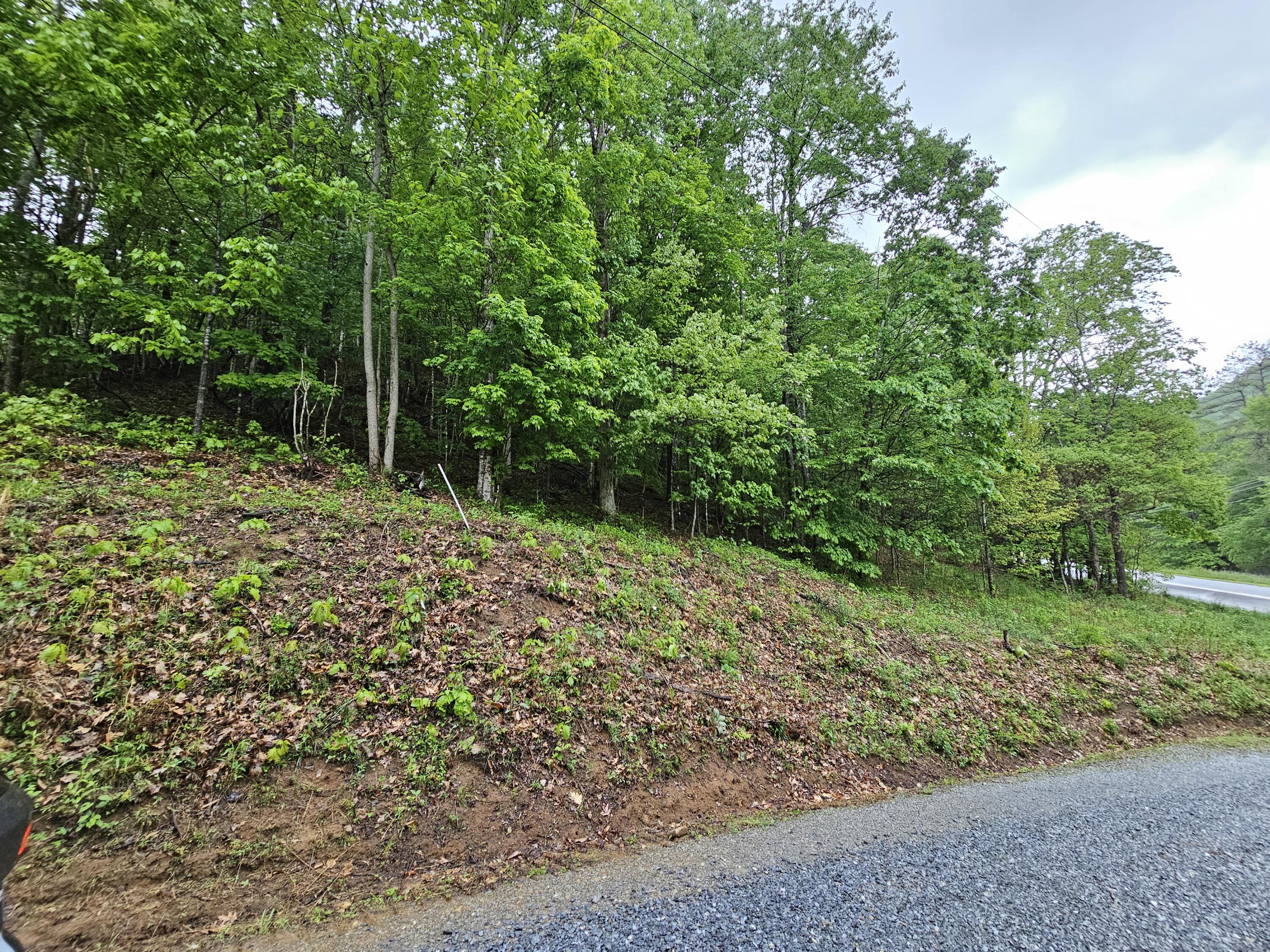 Tbd Left Higgins Creek Road, Unit 21 Flag Pond, TN 37657 - Photo 3 of 6 20230512_184137