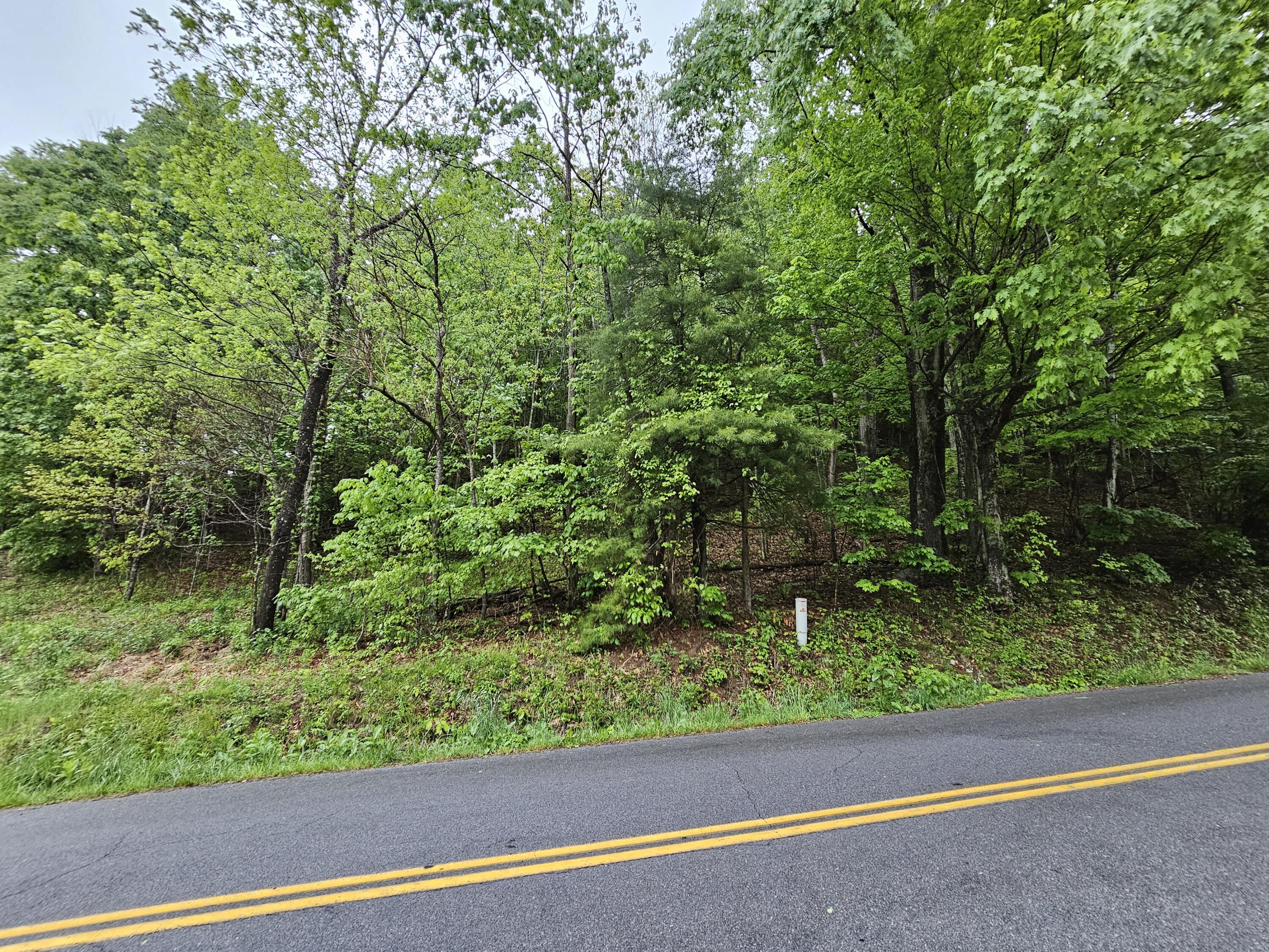 Tbd Left Higgins Creek Road, Unit 21 Flag Pond, TN 37657 - Photo 4 of 6 20230512_184213