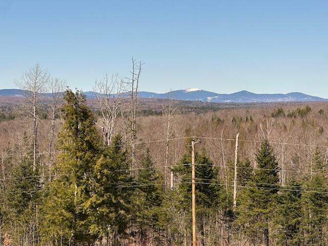 8 Sebec Trail Way Sebec, ME 04481 - Photo 31 of 38 IMG_1455
