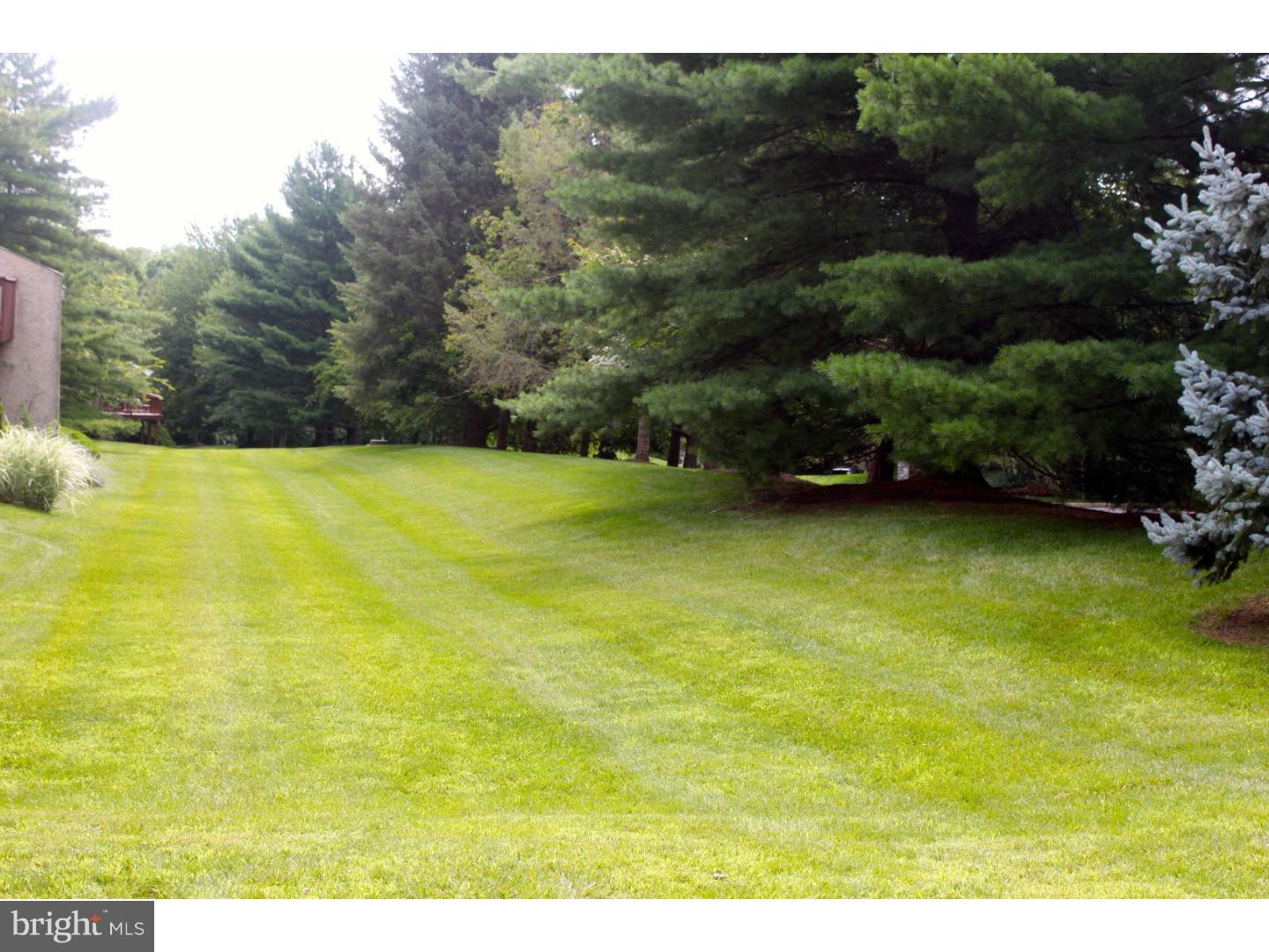 64 Soldiers Square Wayne, PA 19087 - Photo 6 of 25 Back Yard