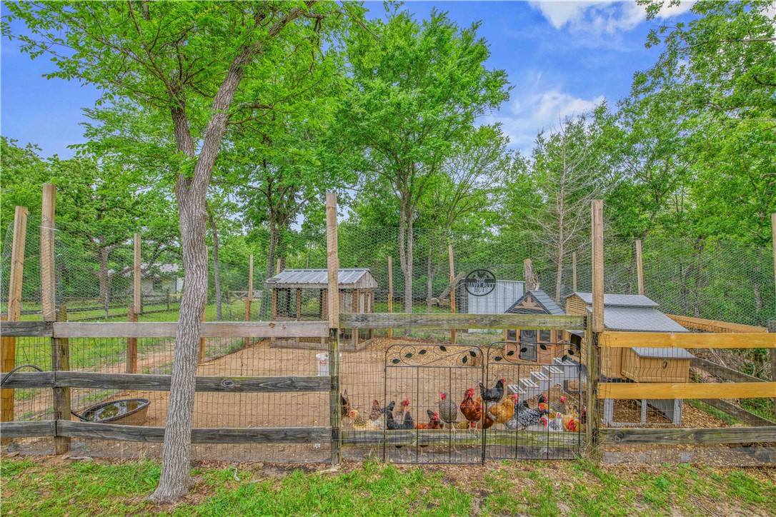 6538 Olympia Buddy Road College Station, TX 77845 - Photo 32 of 50