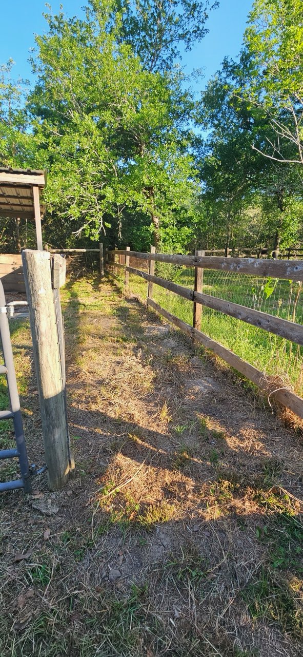 6538 Olympia Buddy Road College Station, TX 77845 - Photo 48 of 50