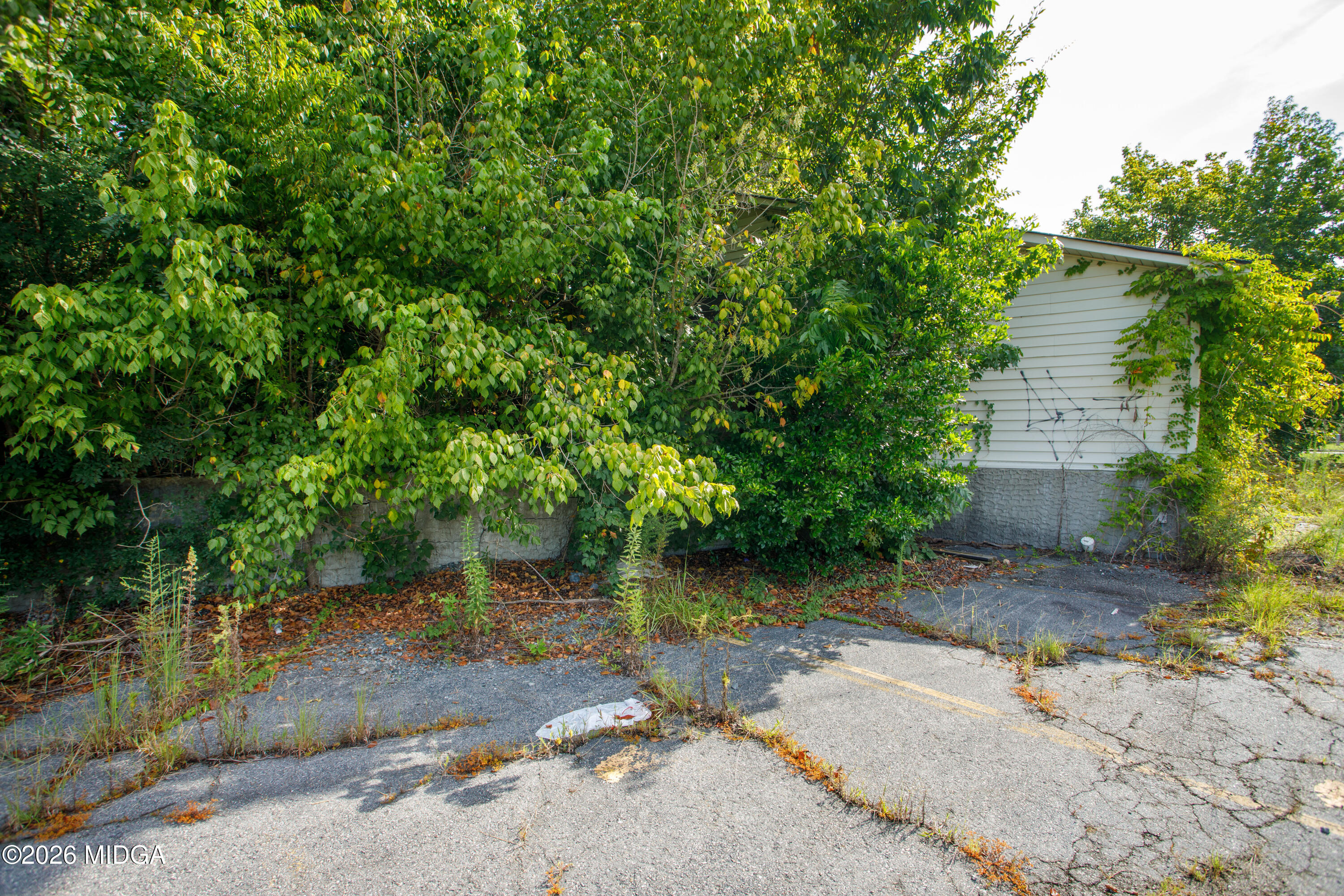 1762 Jeffersonville Road Macon, GA 31217 - Photo 11 of 45 1762 Jefferson Ave Macon GA_1015