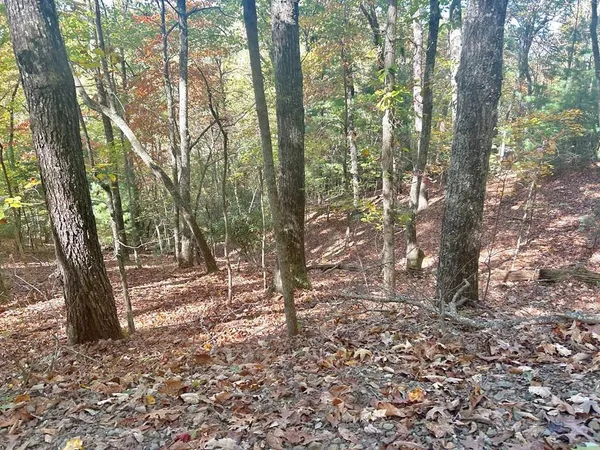 $29,900 | Lot 4 Ridgeline, Hayesville, NC 28904