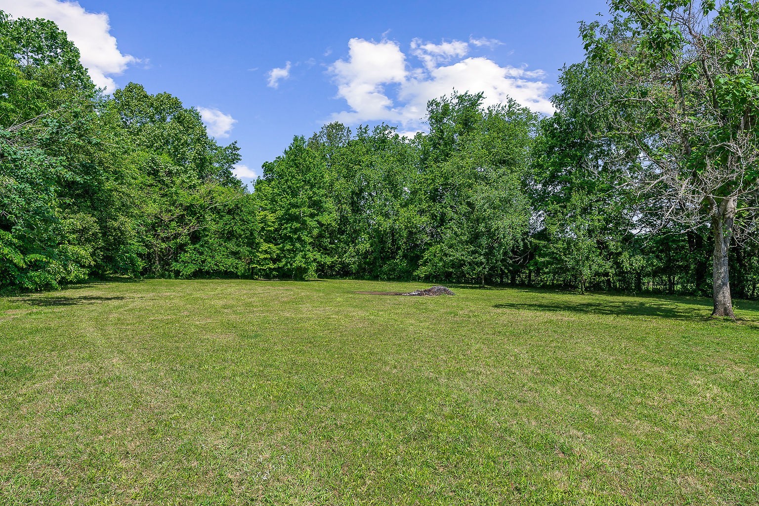 655 River Road Morrison, TN 37357 - Photo 31 of 53 a view of a big yard with lots of green space