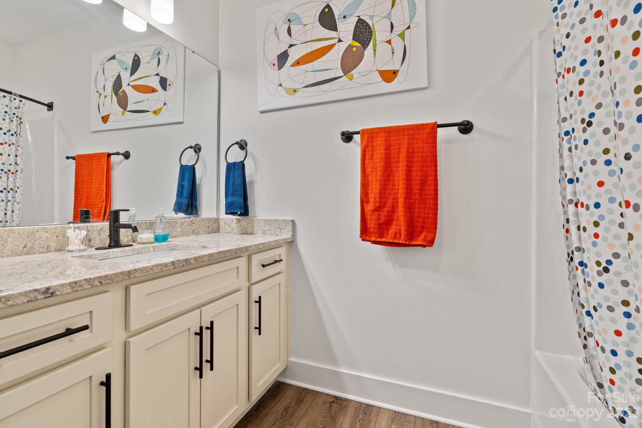 44 Reta Road Fairview, NC 28730 - Photo 33 of 36 a bathroom with a sink and a mirror