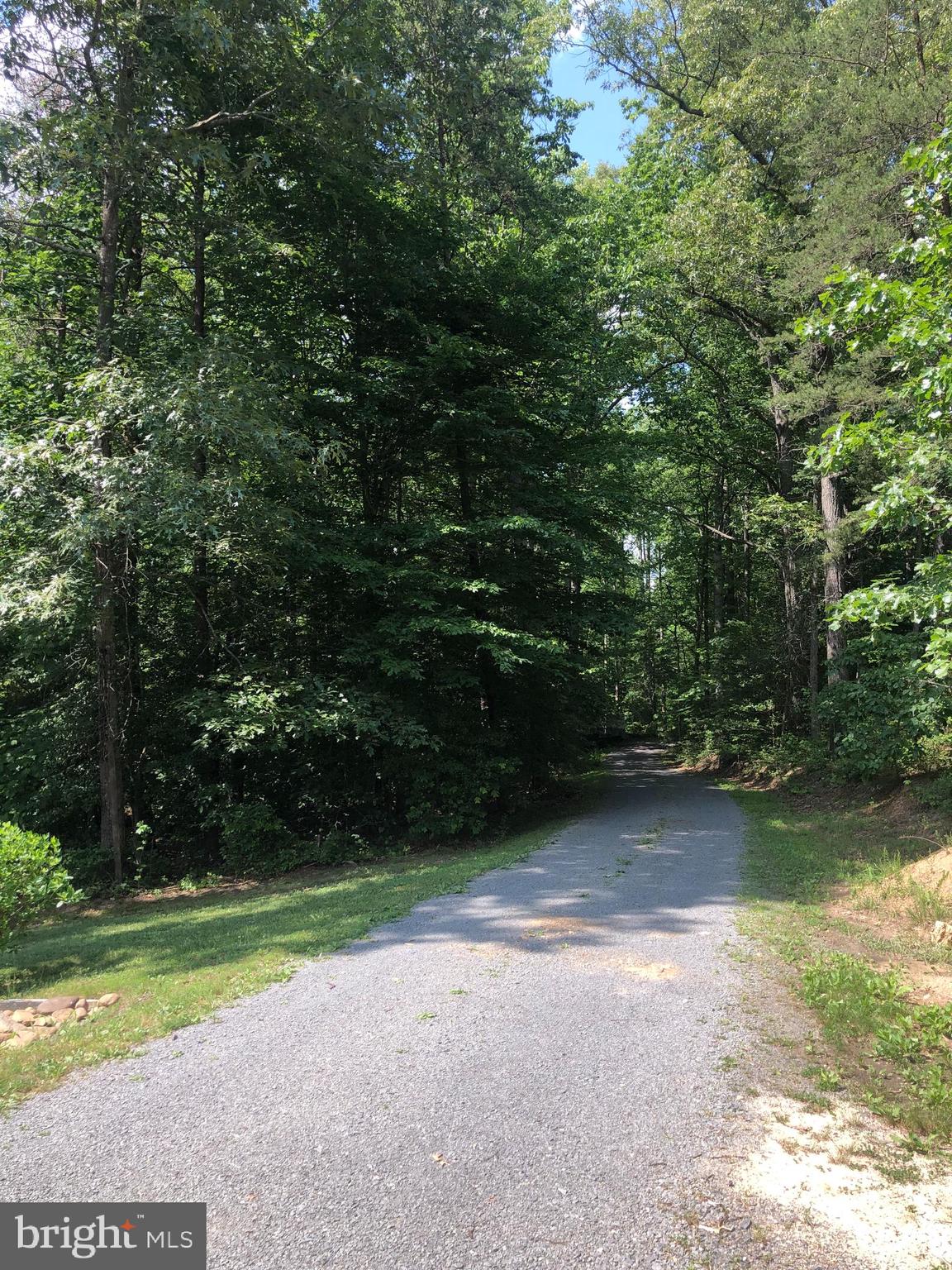 4575 Courtneys Corner Road Sumerduck, VA 22742 - Photo 142 of 145 View down the long shady driveway