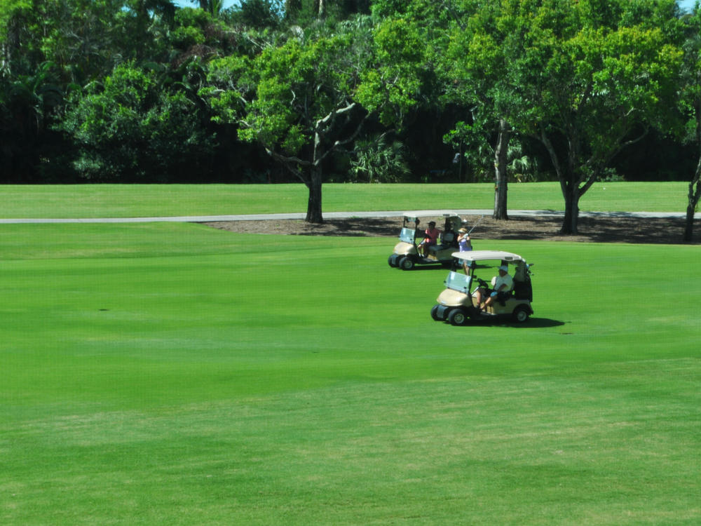 2548 Coco Plum Boulevard, Unit 703 Boca Raton, FL 33496 - Photo 16 of 17 Golf View