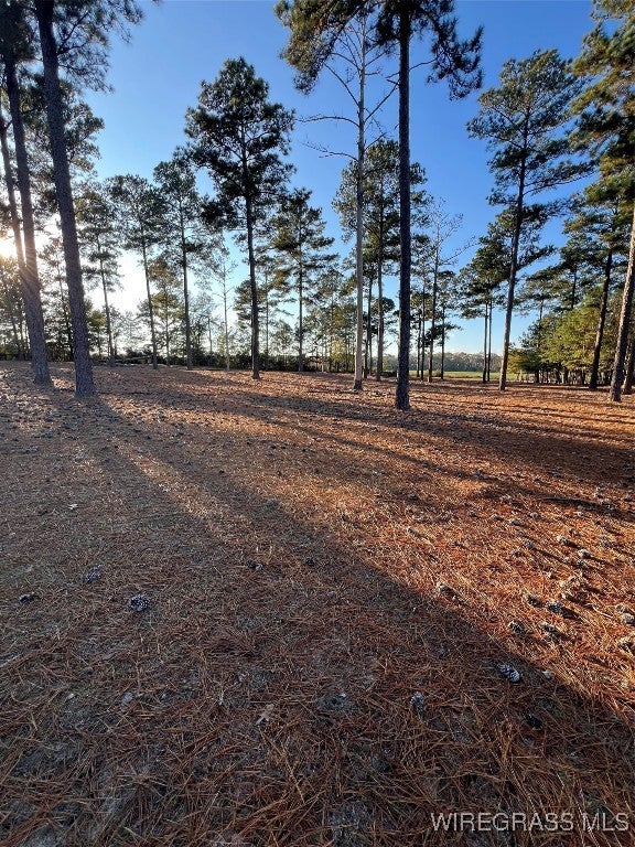 0 Morgan Mill Road Brantley, AL 36009 - Photo 5 of 5 Gallery Image 5