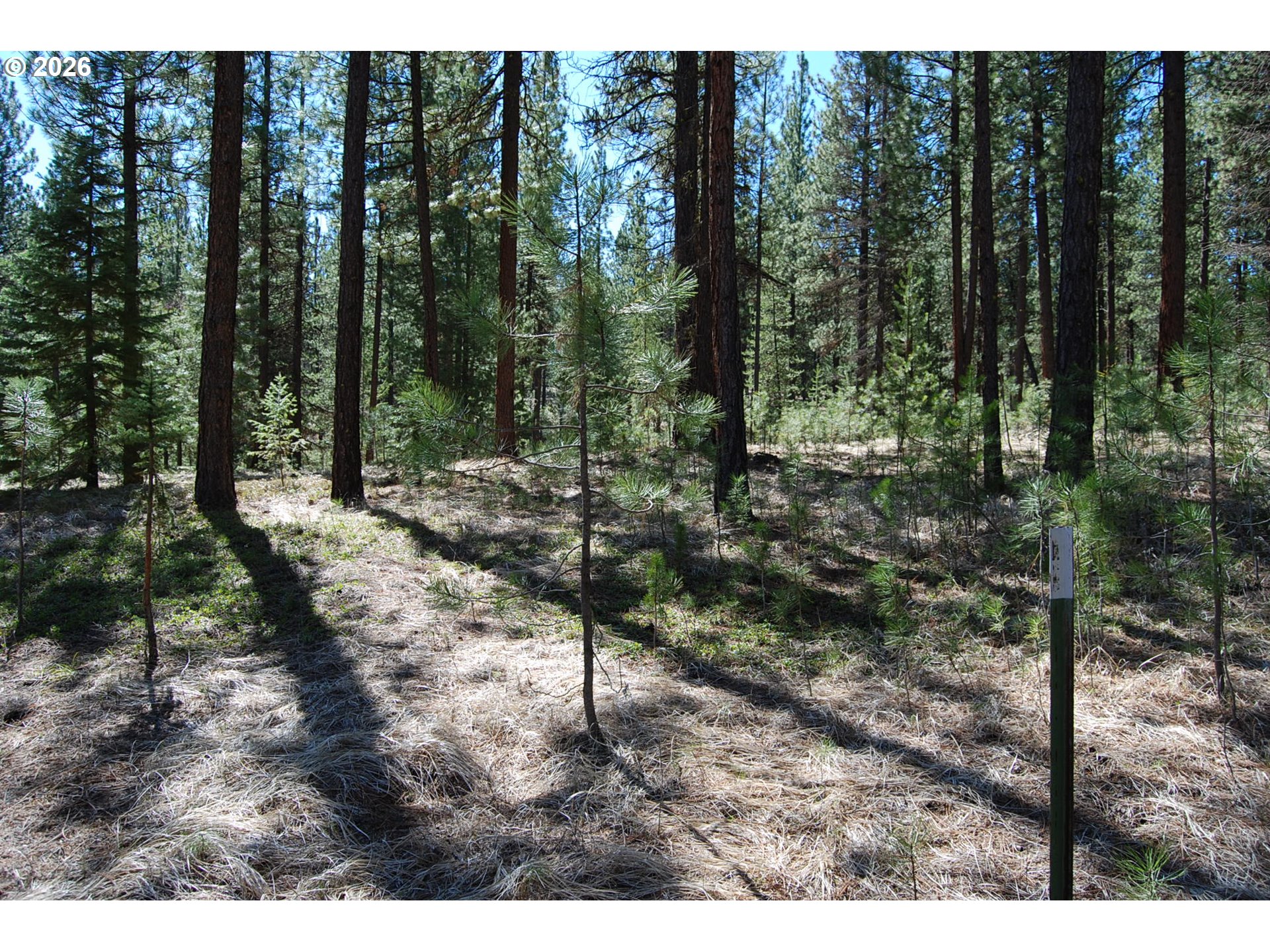 39988 Rhody Road Baker City, OR 97814 - Photo 11 of 34