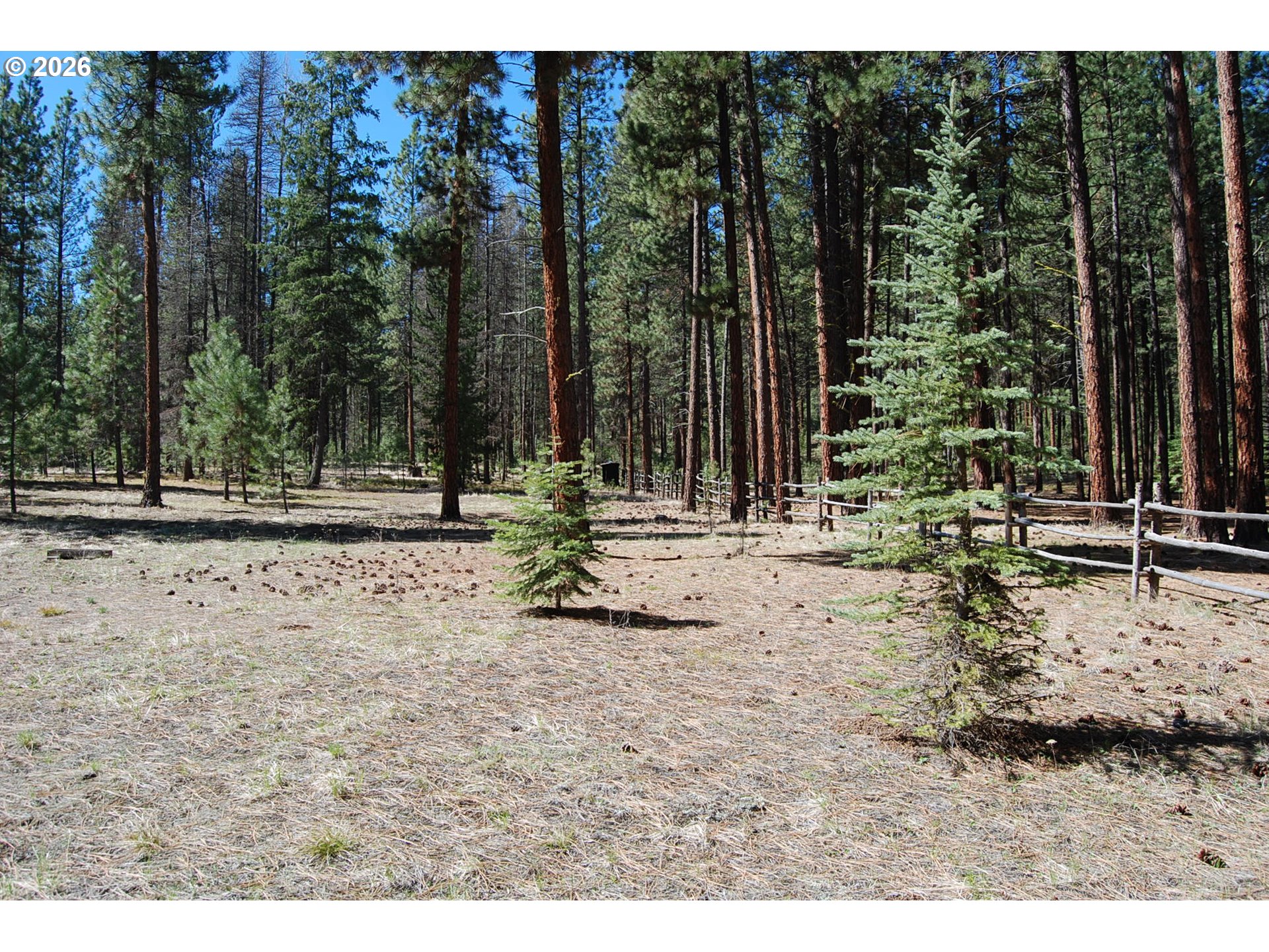 39988 Rhody Road Baker City, OR 97814 - Photo 10 of 34